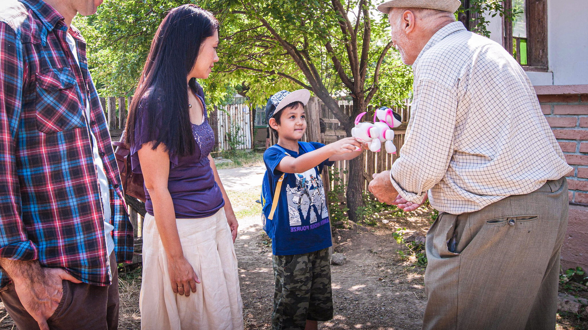 The Japanese Dog Background
