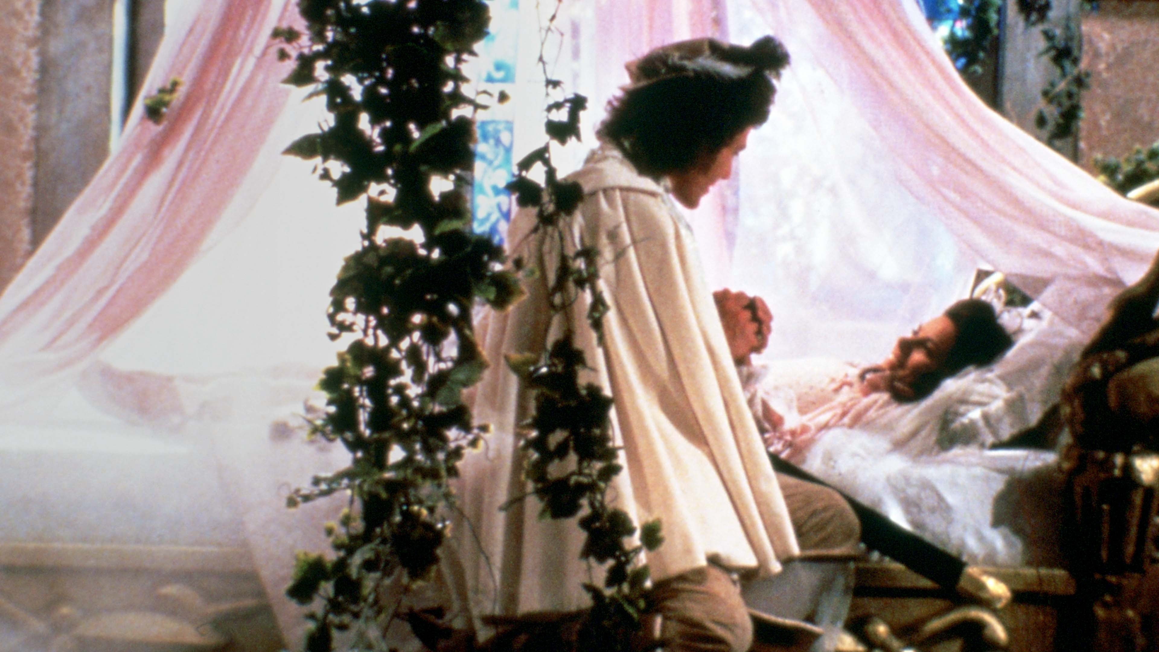 Sleeping Beauty Background