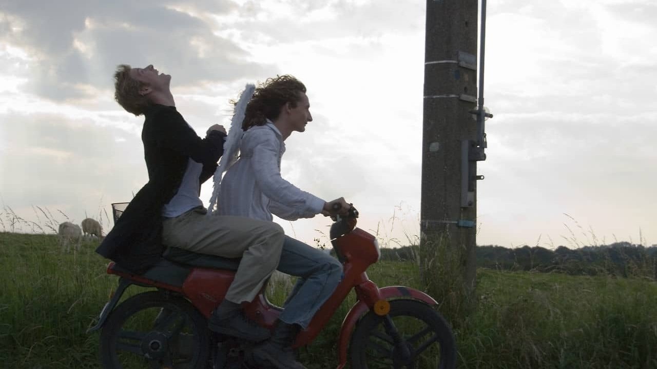 With the Dust Background