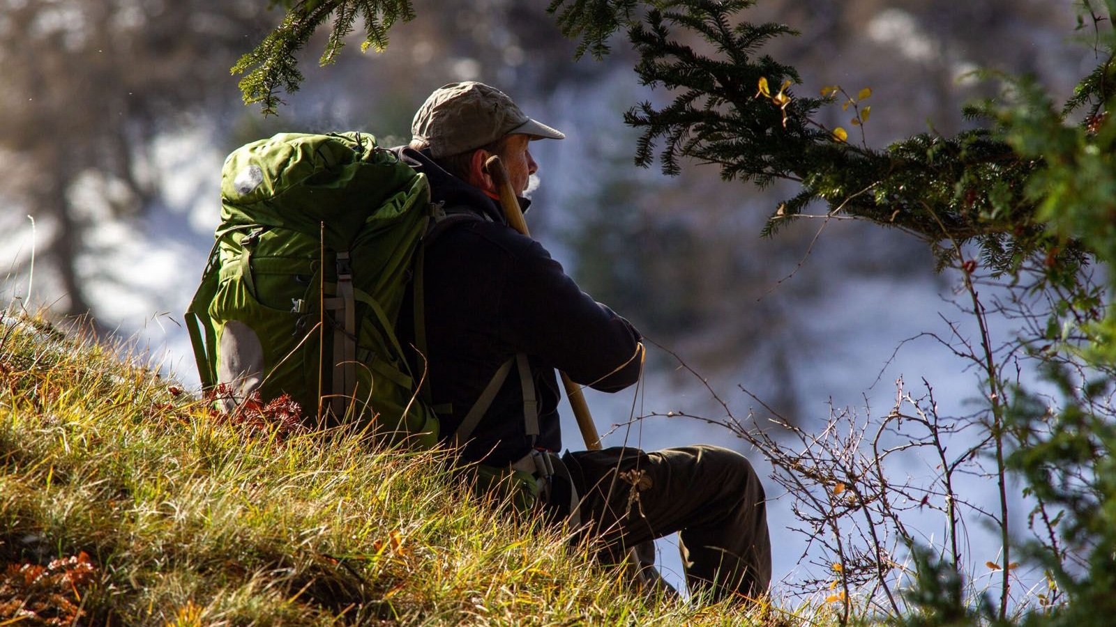 Living With Wolves Background