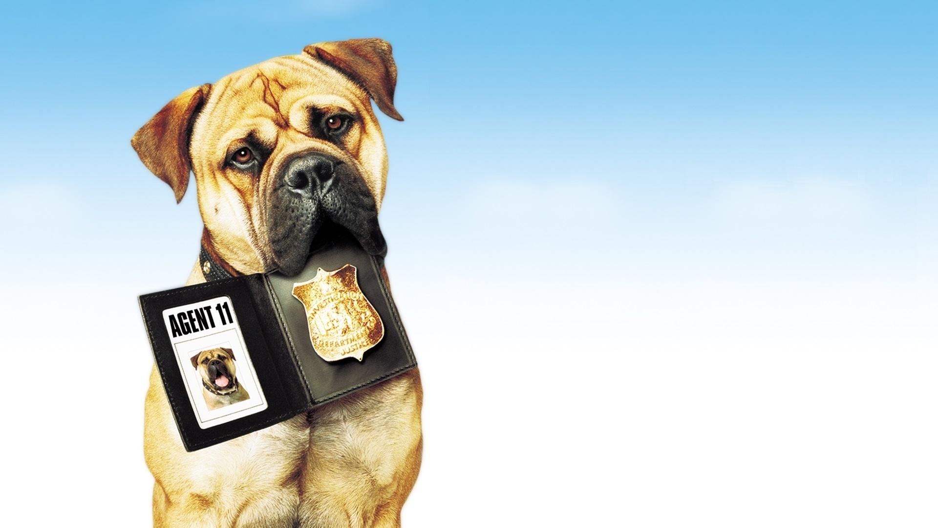 See Spot Run Background