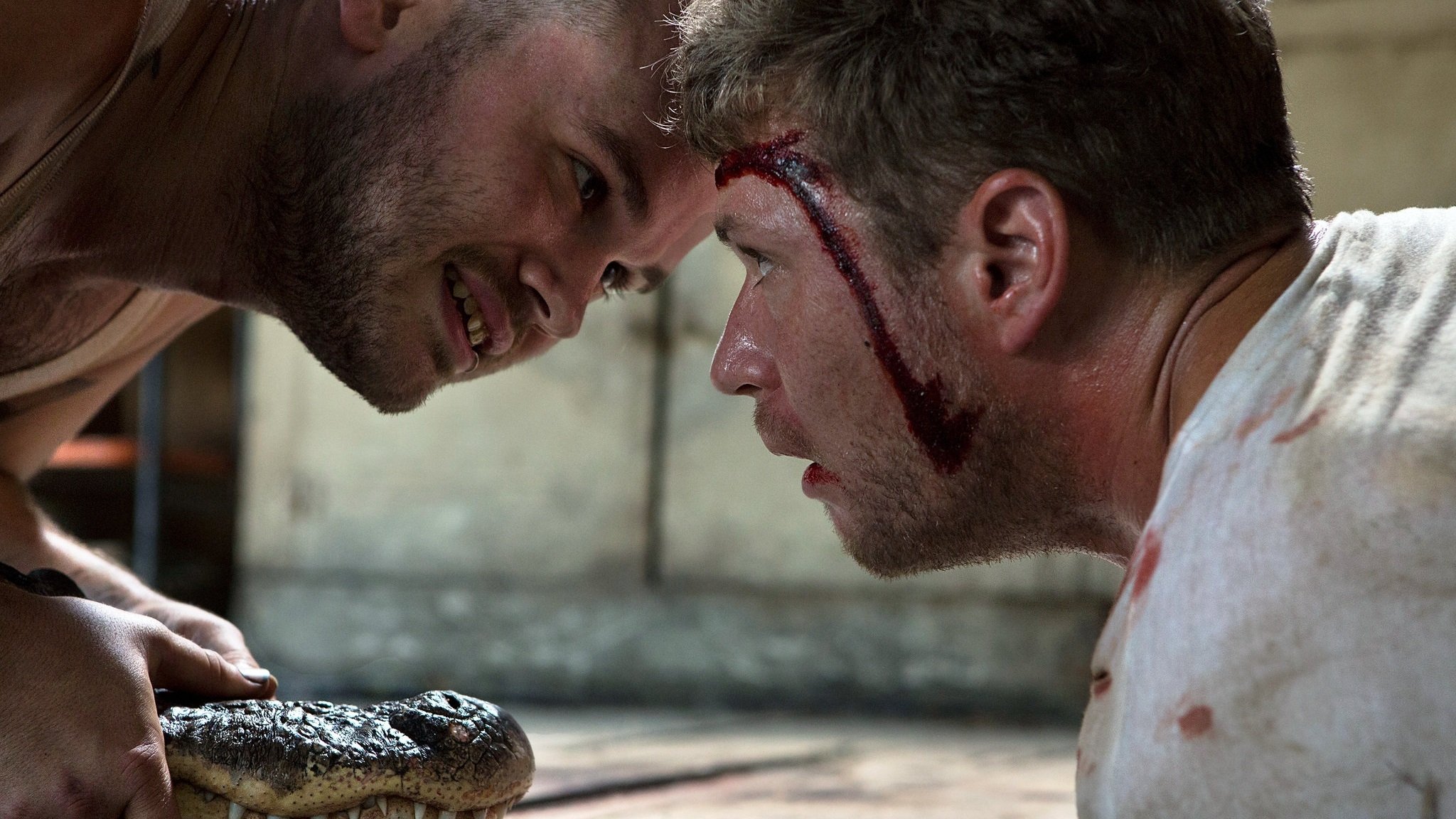 Catch Hell Background