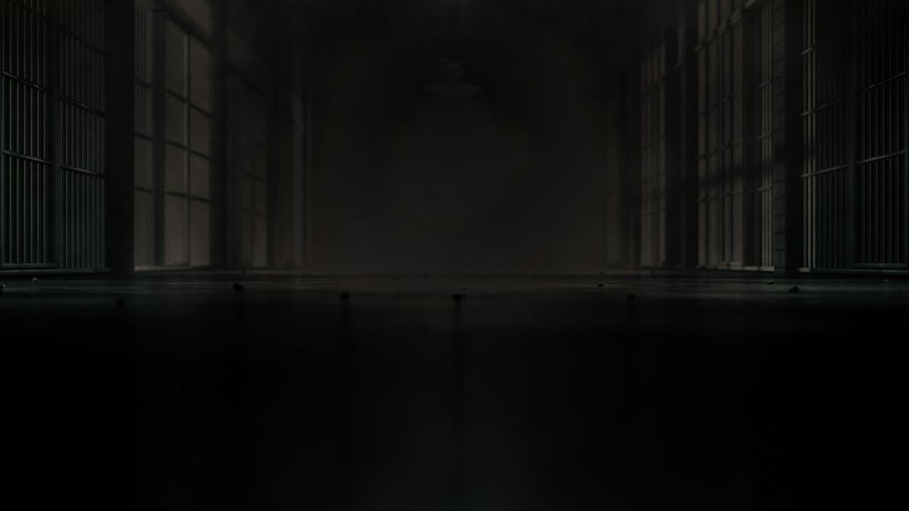 The Last Defense Background