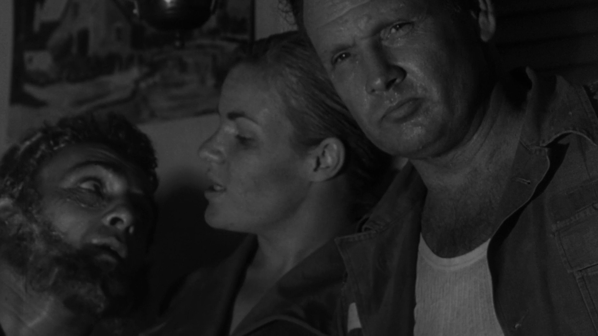 The Nest of the Cuckoo Birds Background