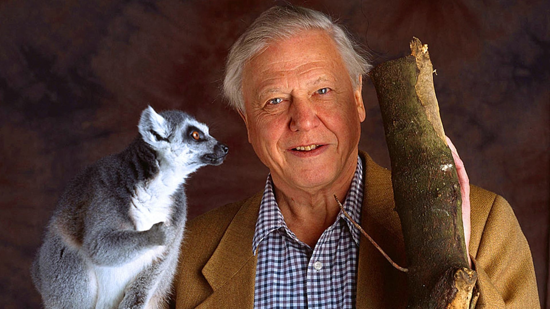 The Life of Mammals Background