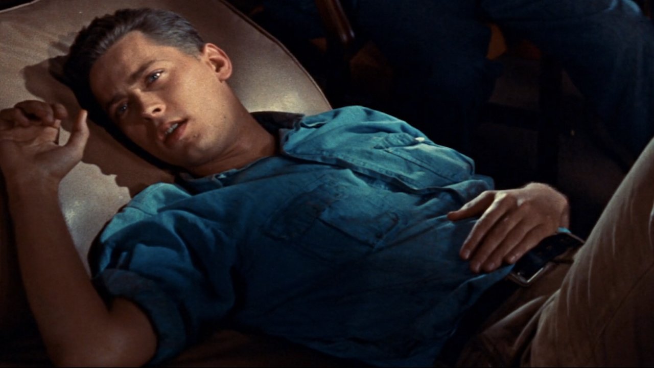 The Cobweb Background