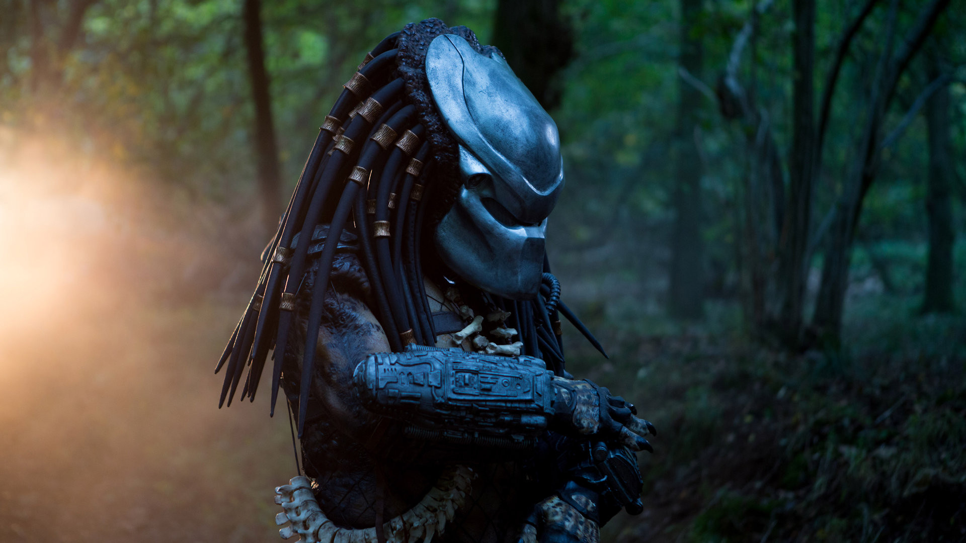 Predator: Dark Ages Background