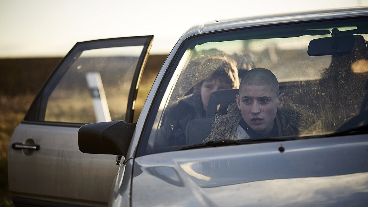 Winter Flies Background