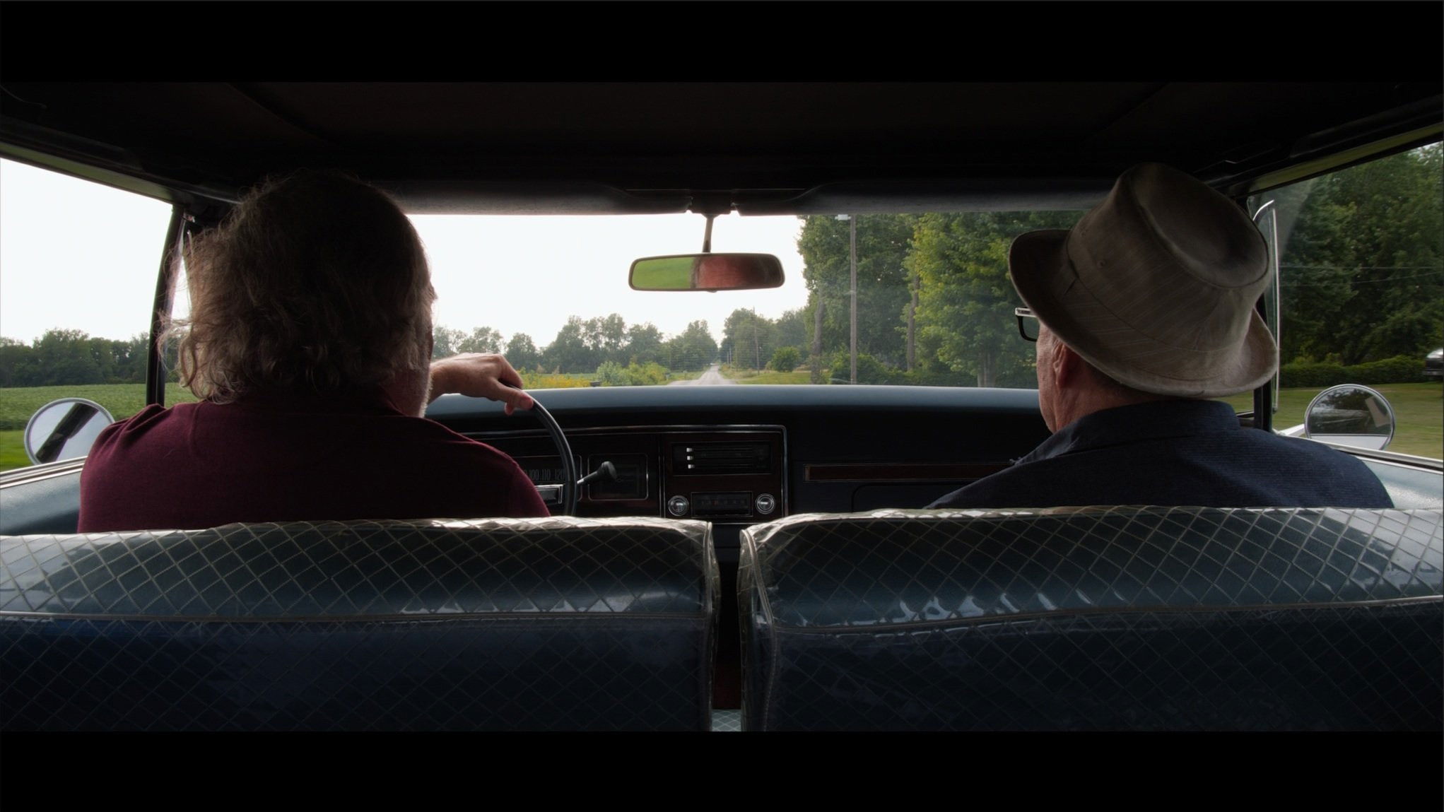 Fly Old Bird: Escape to the Ark Background