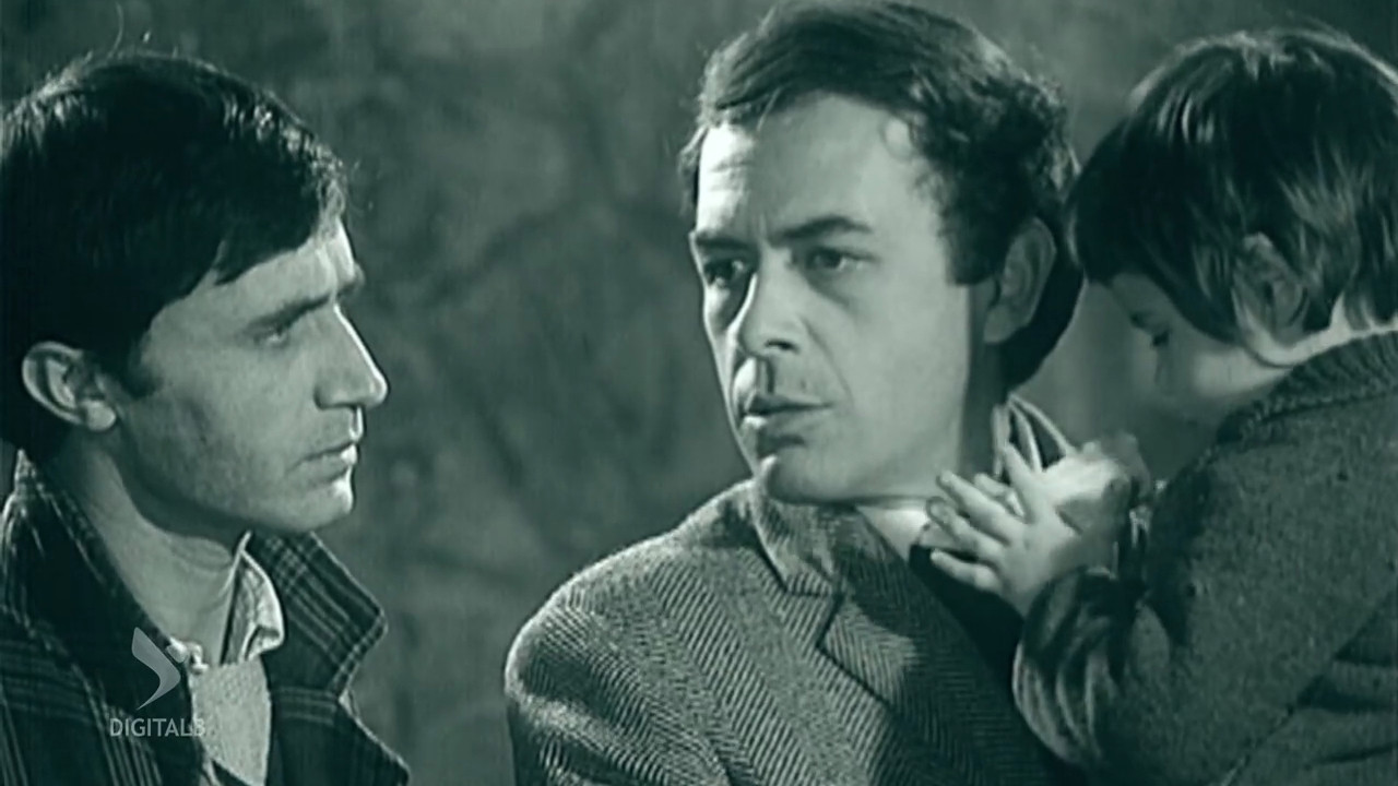 Seeking Sun Paths Background