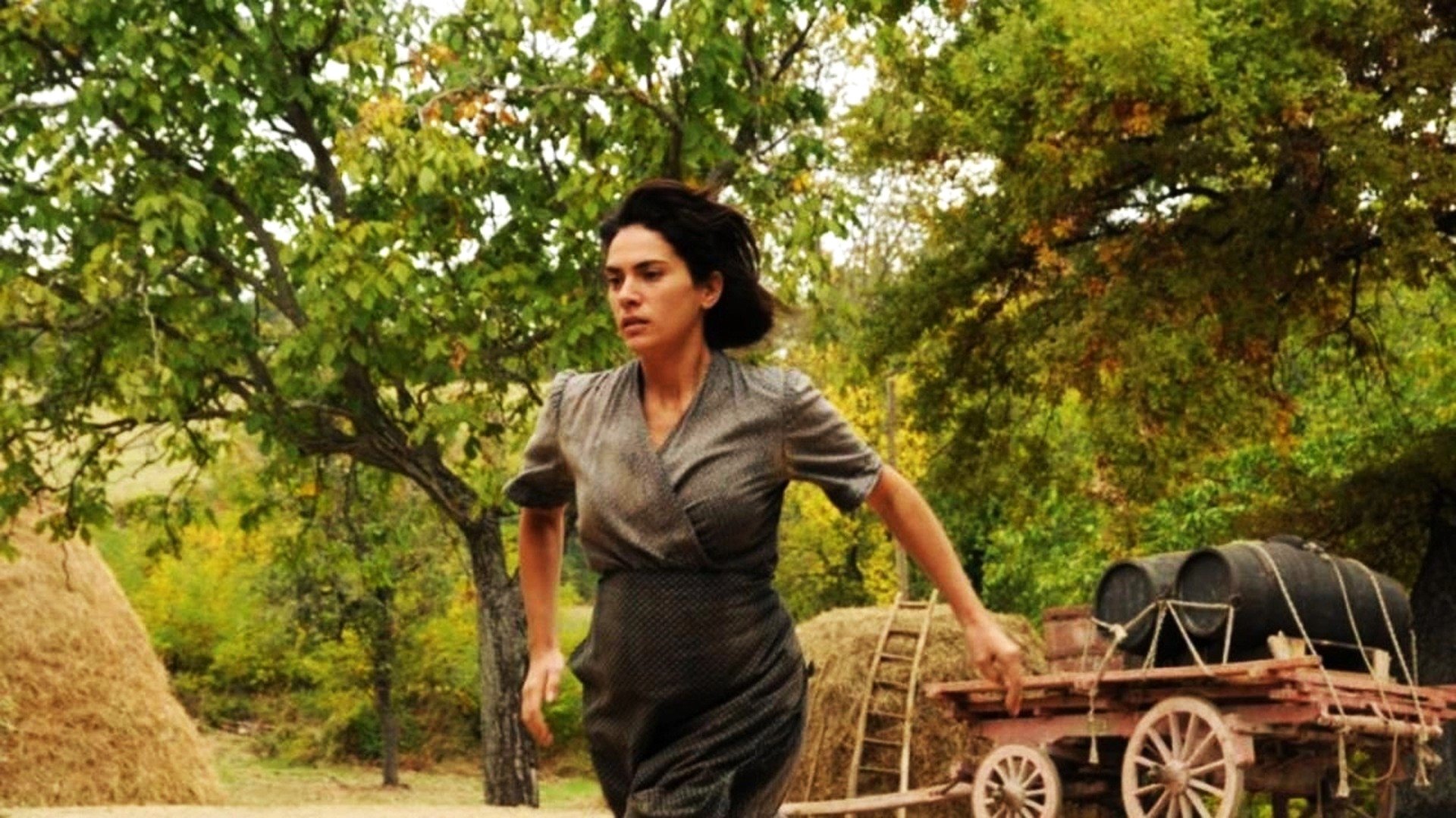 The Man Who Will Come Background