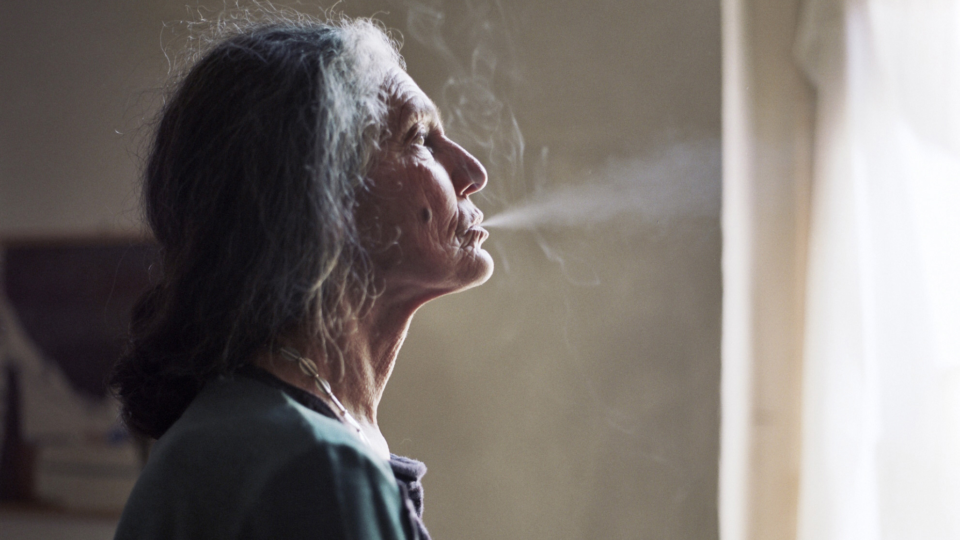 The Disappearance of My Mother Background