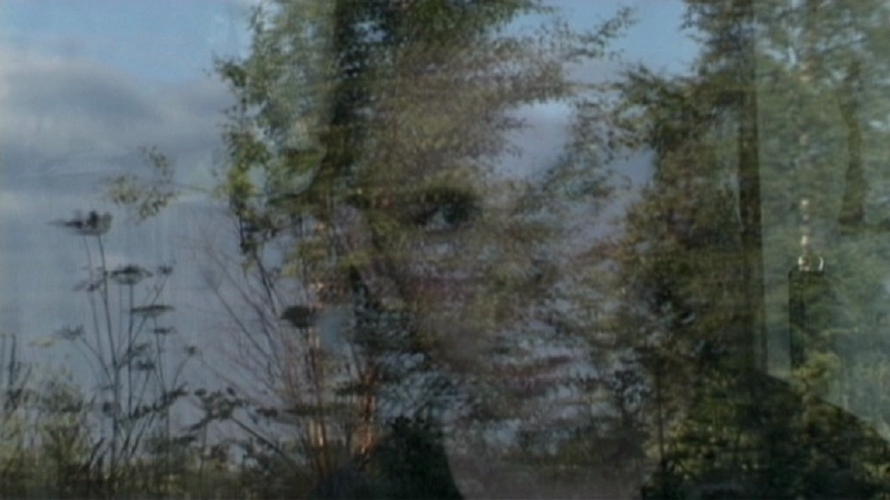 Anton's Right Here Background