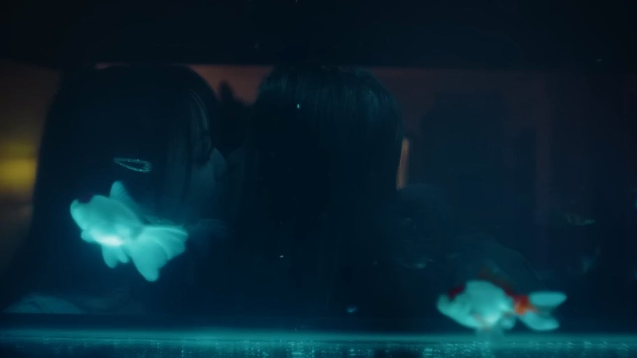 Lucky Fish Background