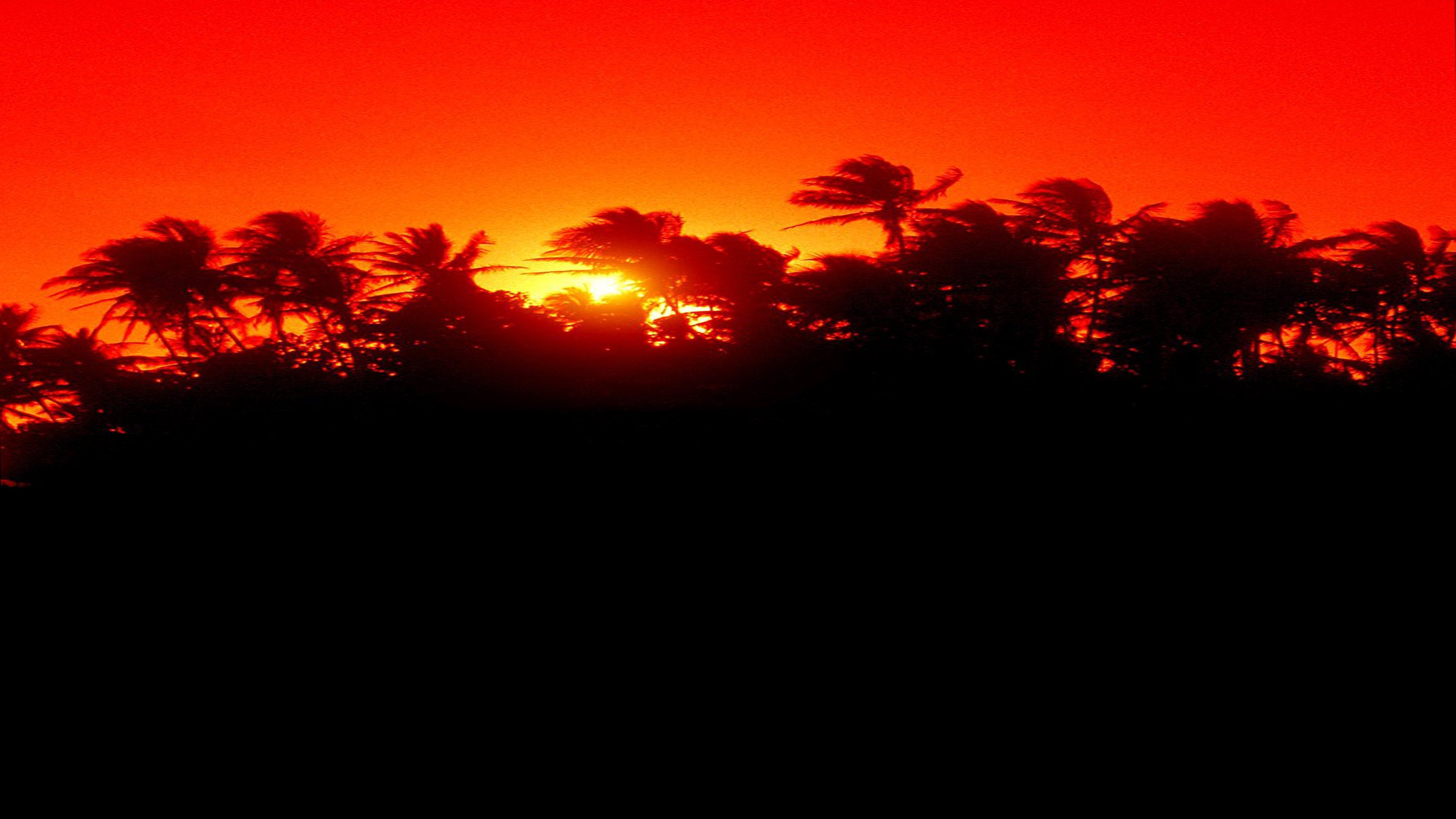 The Making of 'Jurassic Park' Background