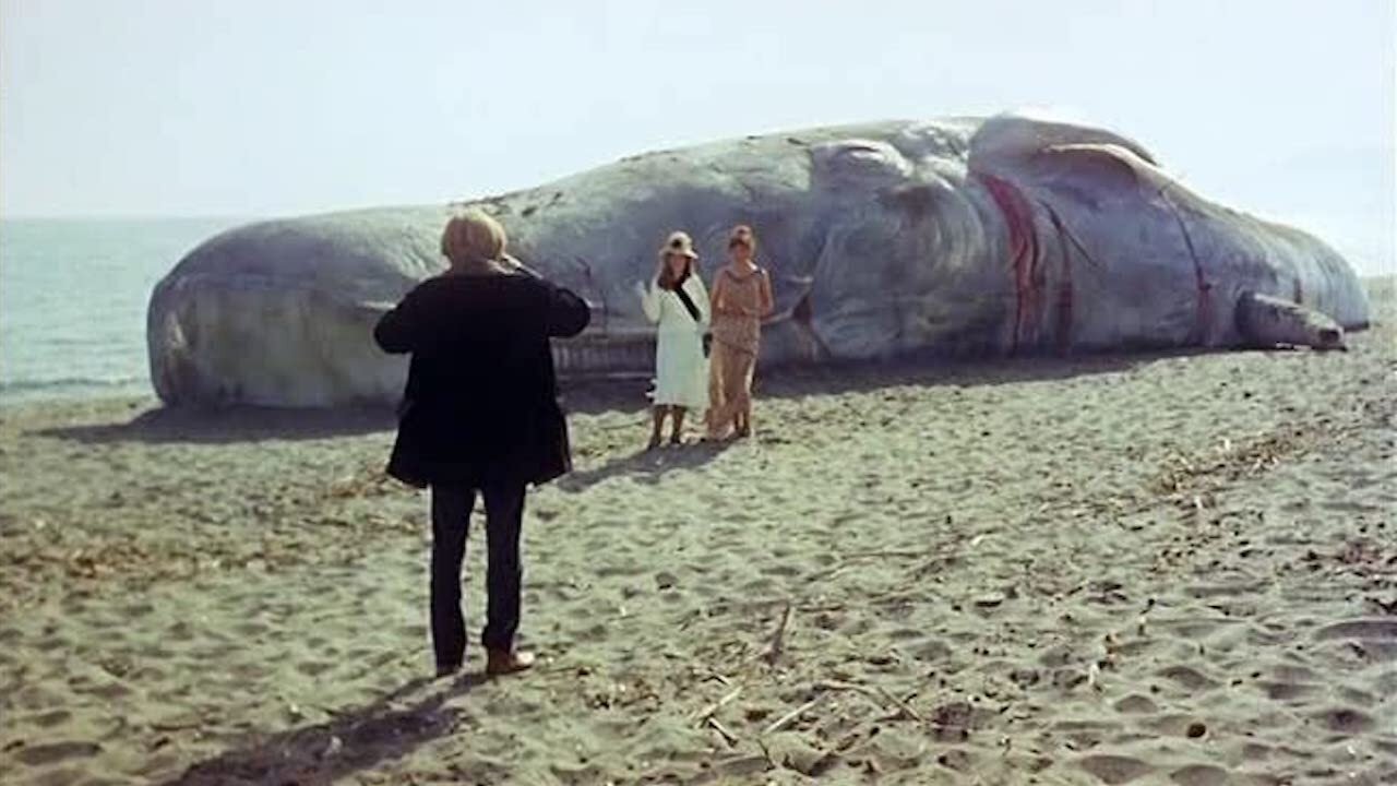 The Seed of Man Background