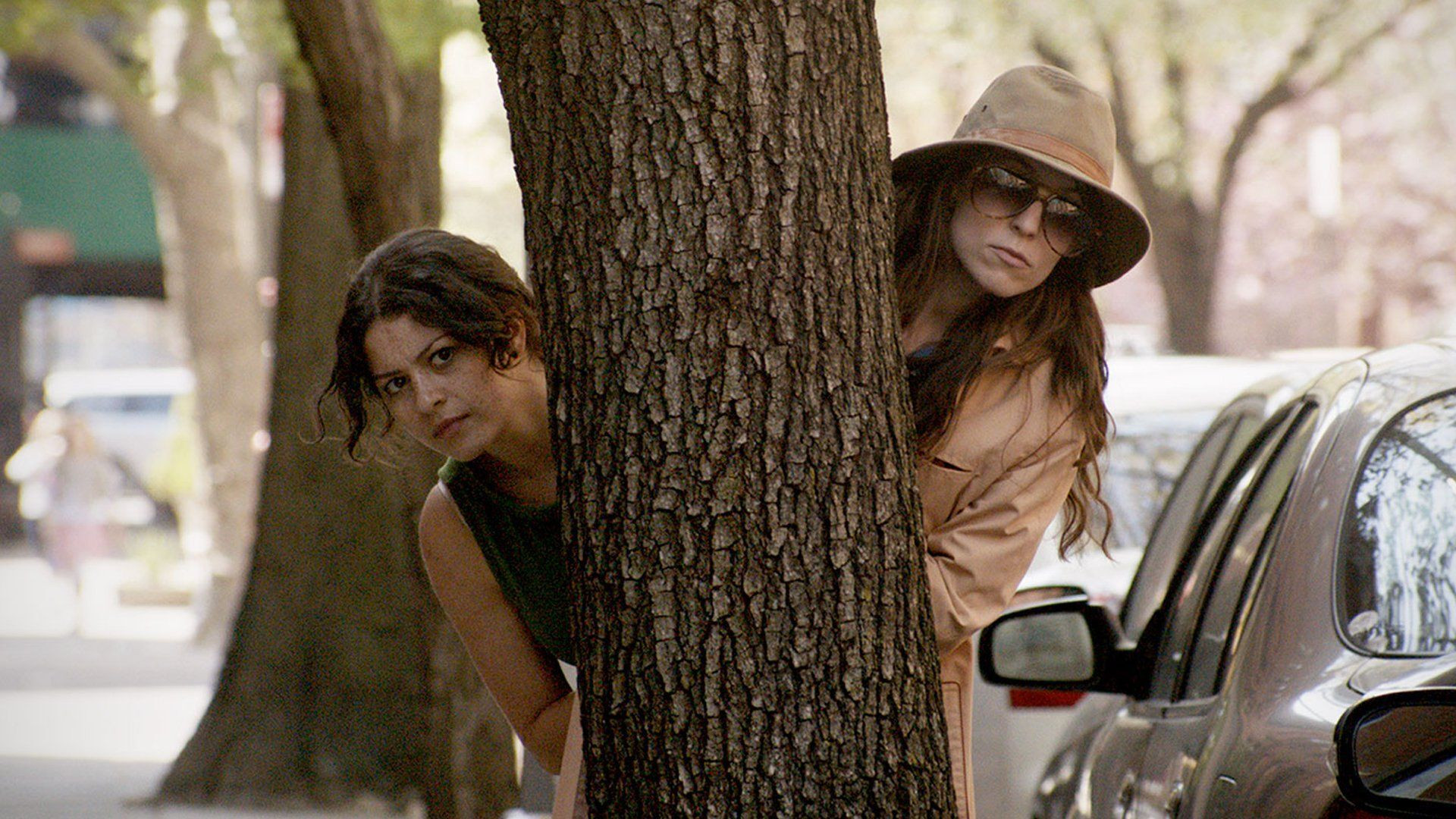 Wild Canaries Background