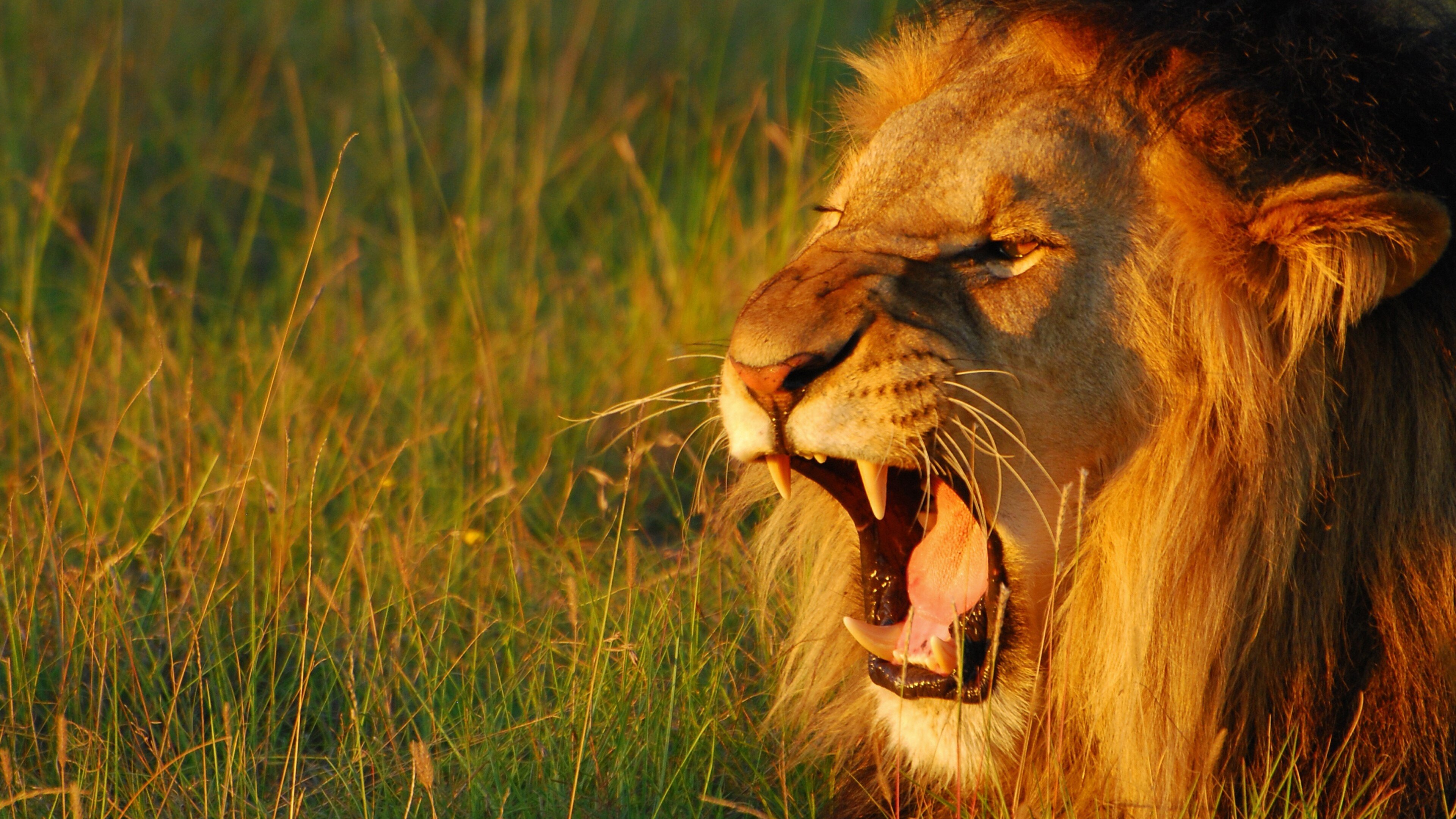 Secret World of Sound Background