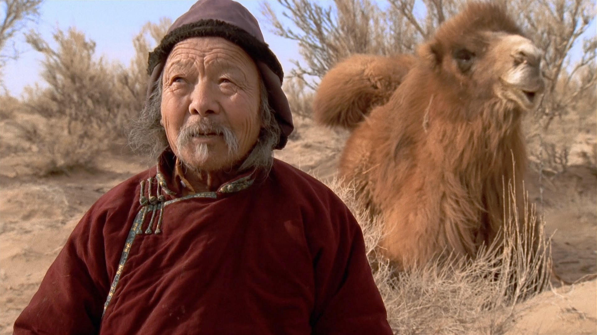 The Story of the Weeping Camel Background