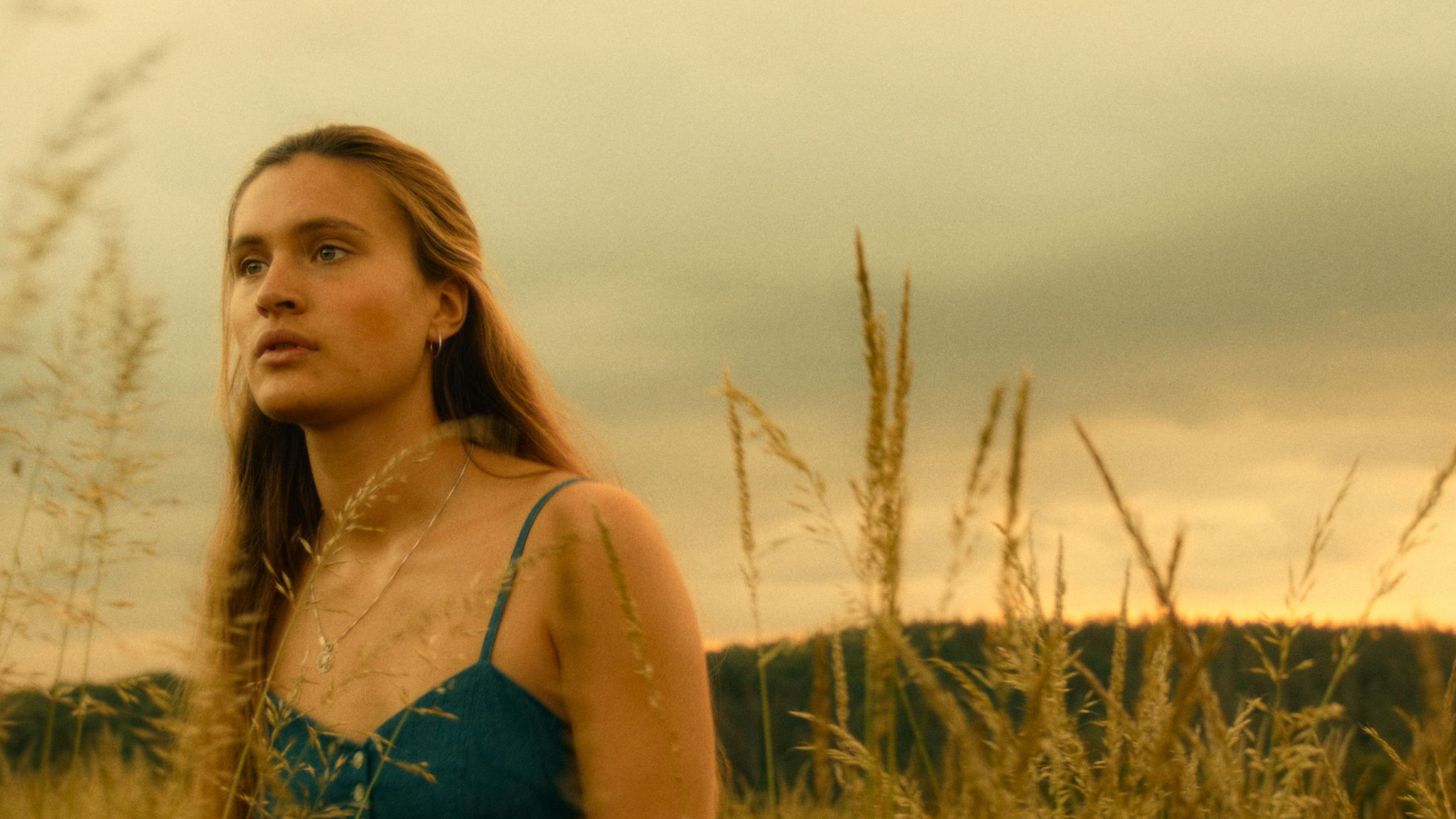 Someday We'll Tell Each Other Everything Background