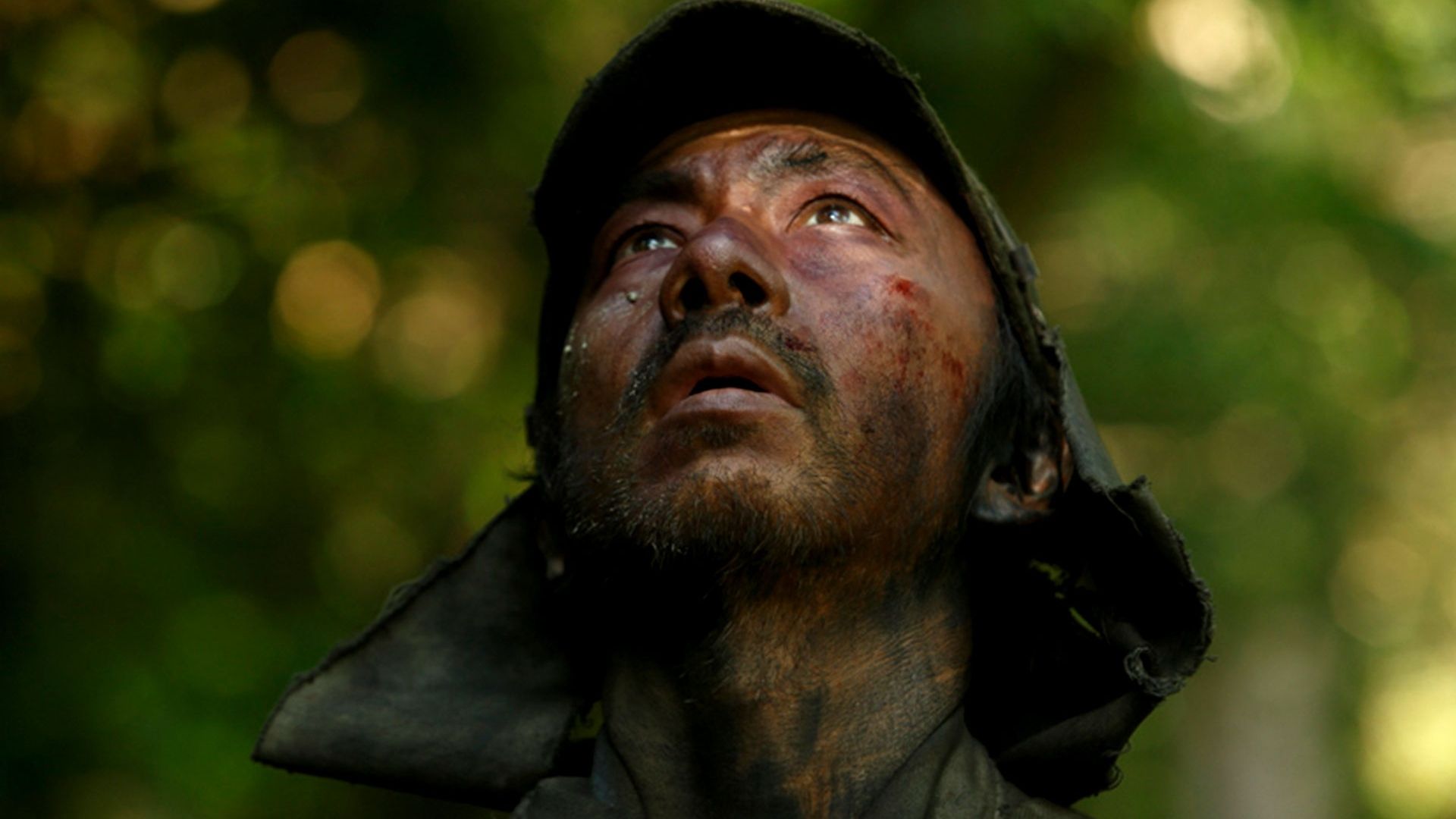 Fires on the Plain Background