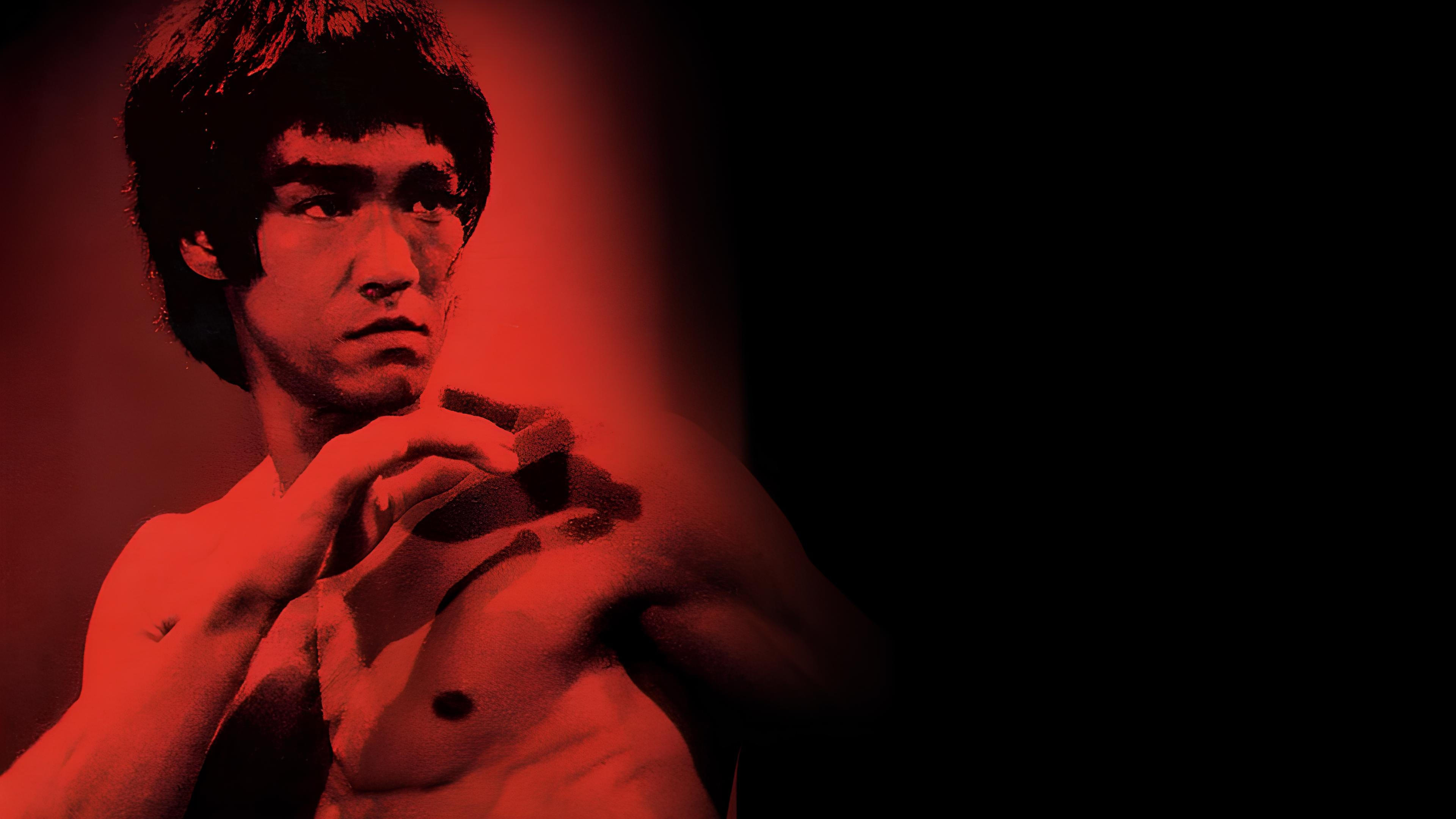 Bruce Lee: The Legend Background