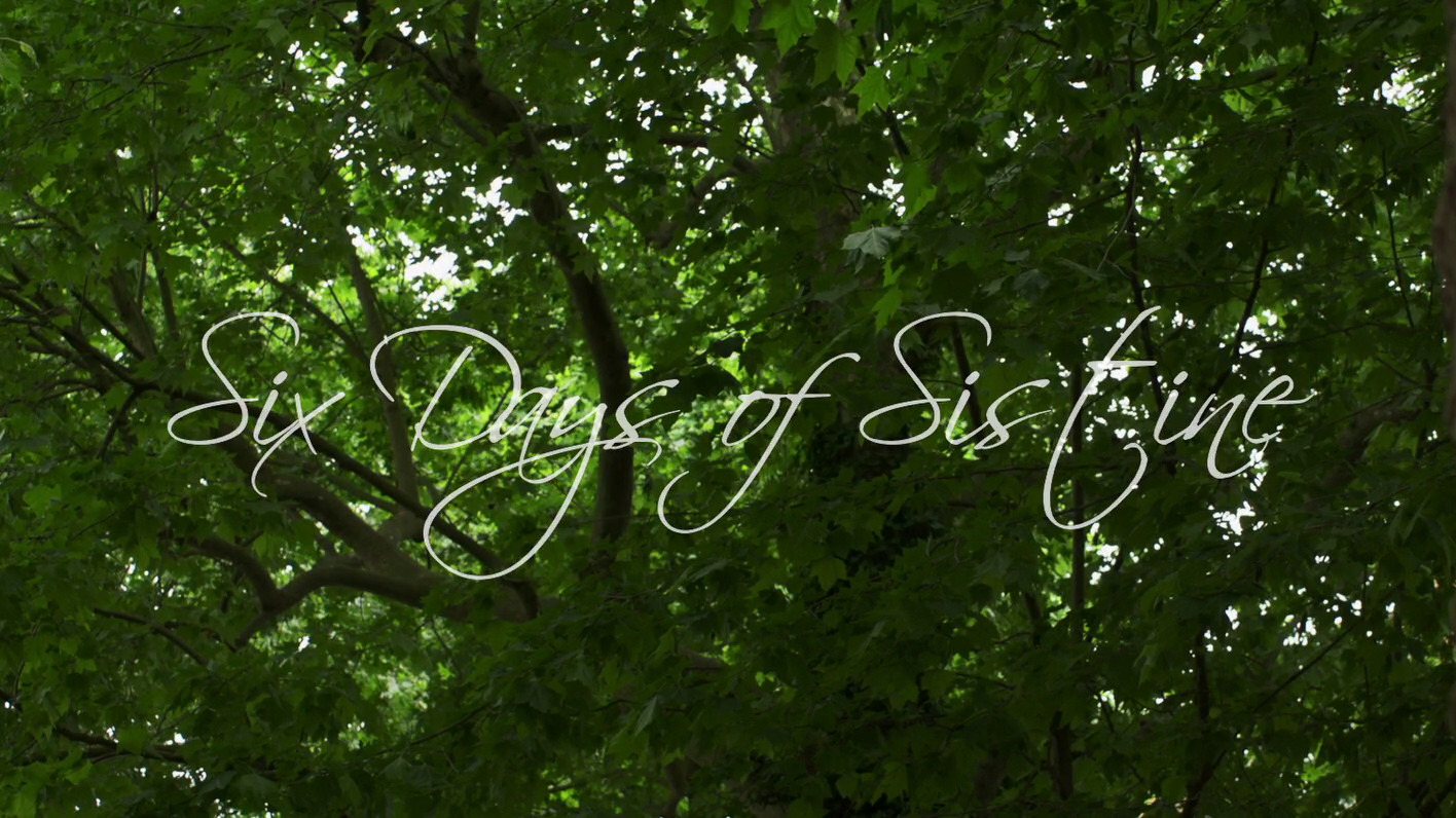 Six Days of Sistine Background