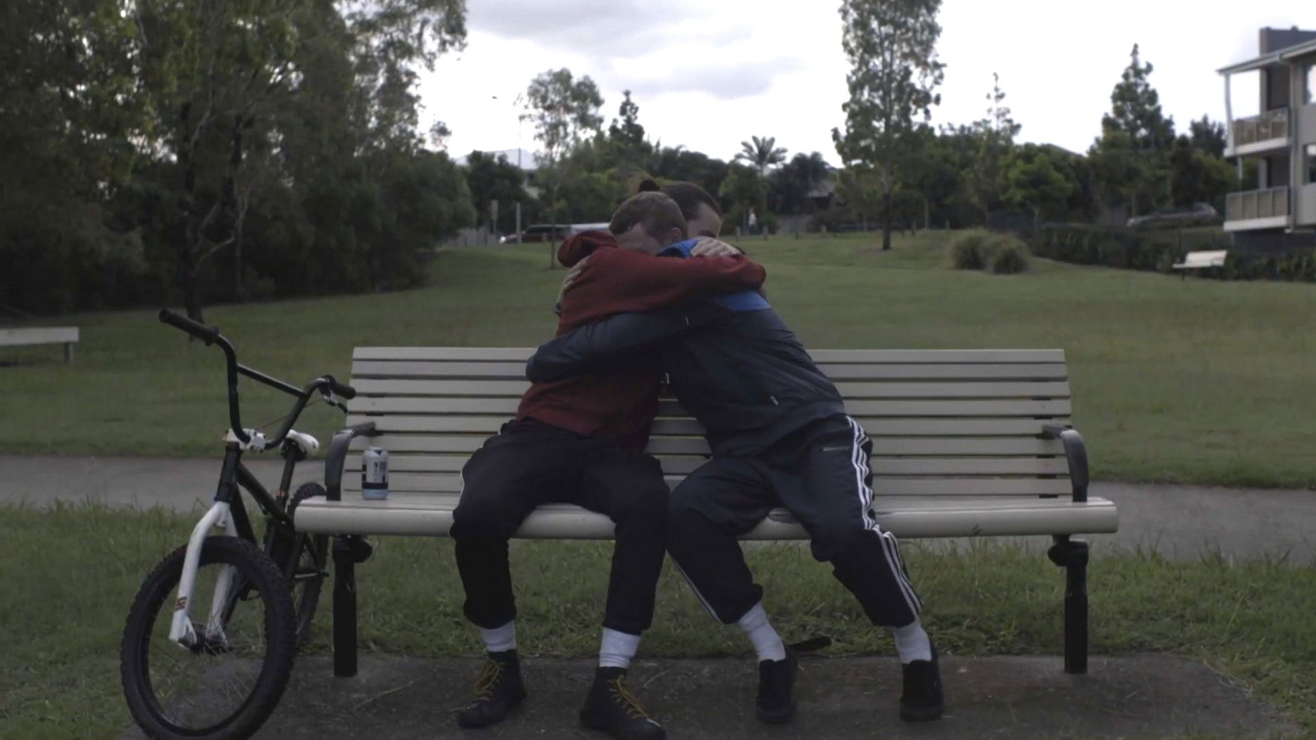 Two Birds in a Cage Background