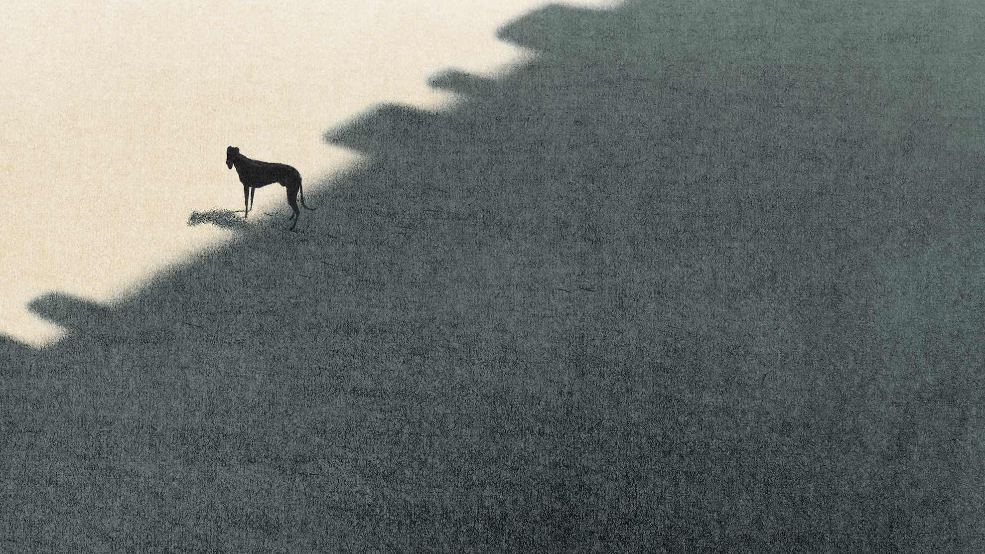 Peripheria Background