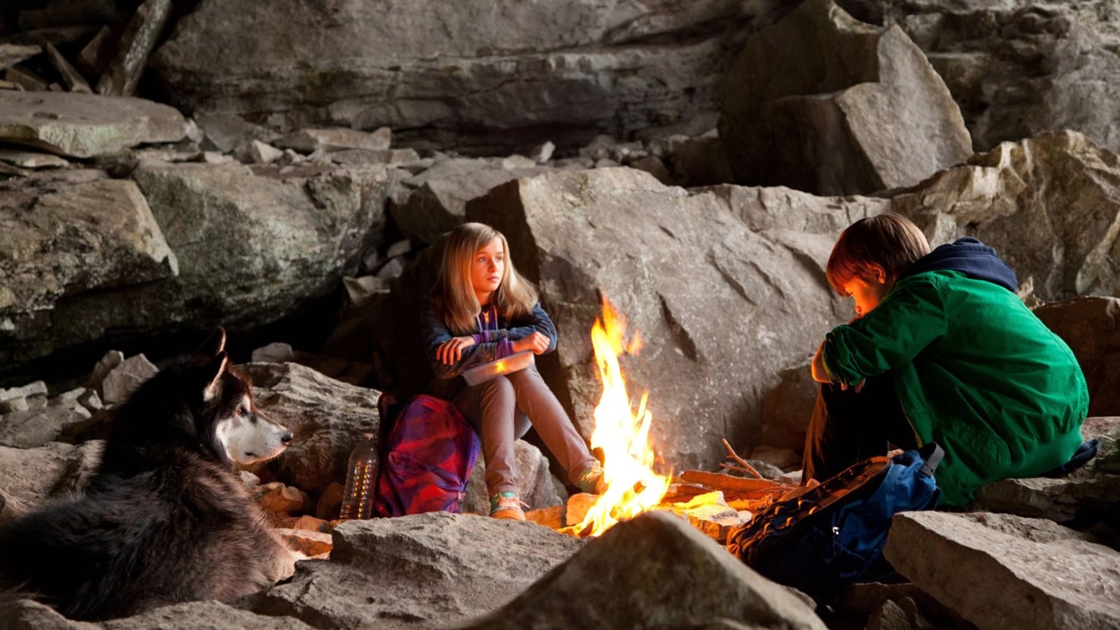 Against the Wild Background