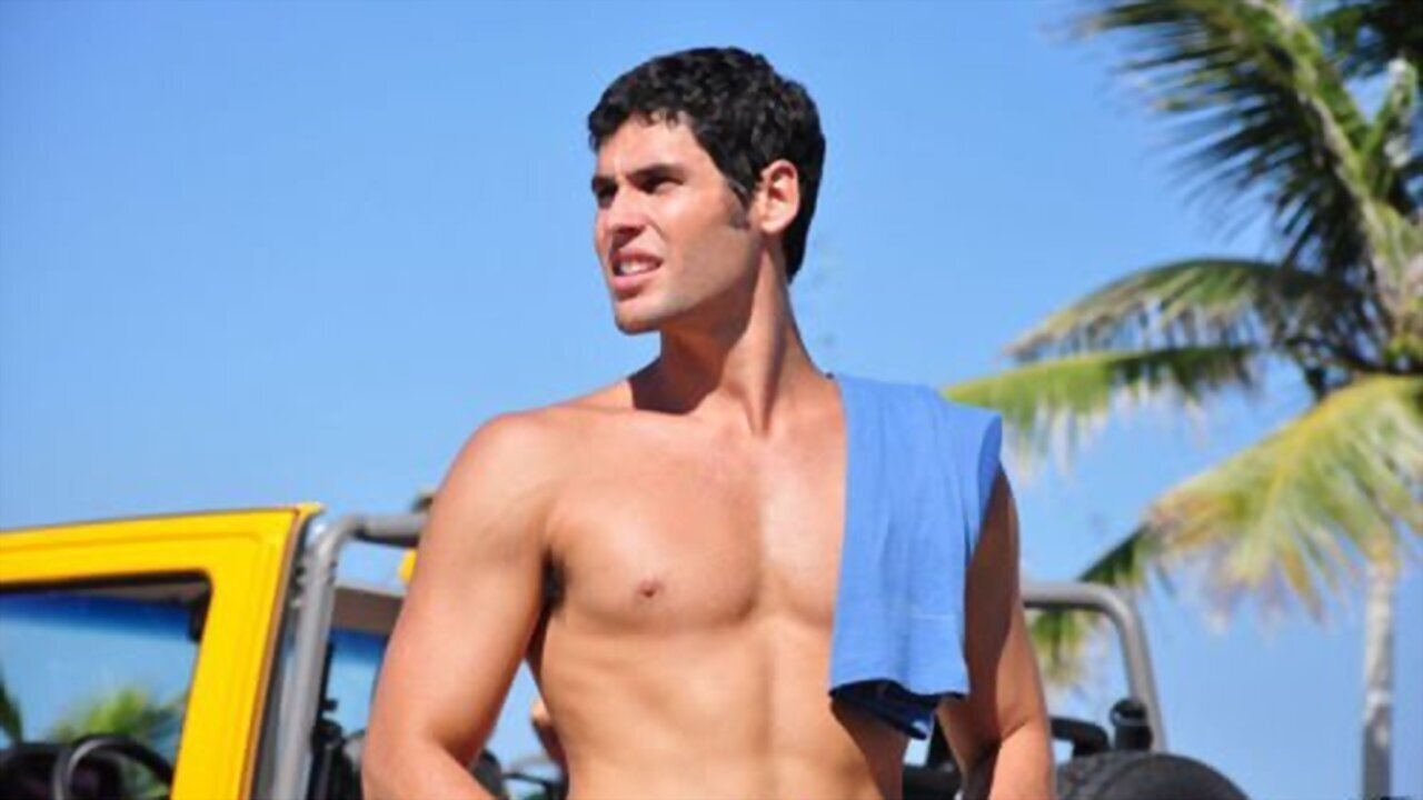 Any Stray Cat Background