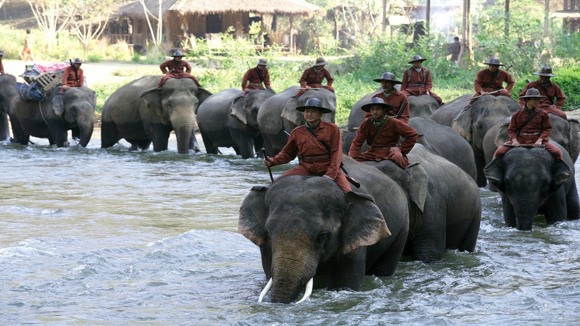 Sunny and the Elephant Background