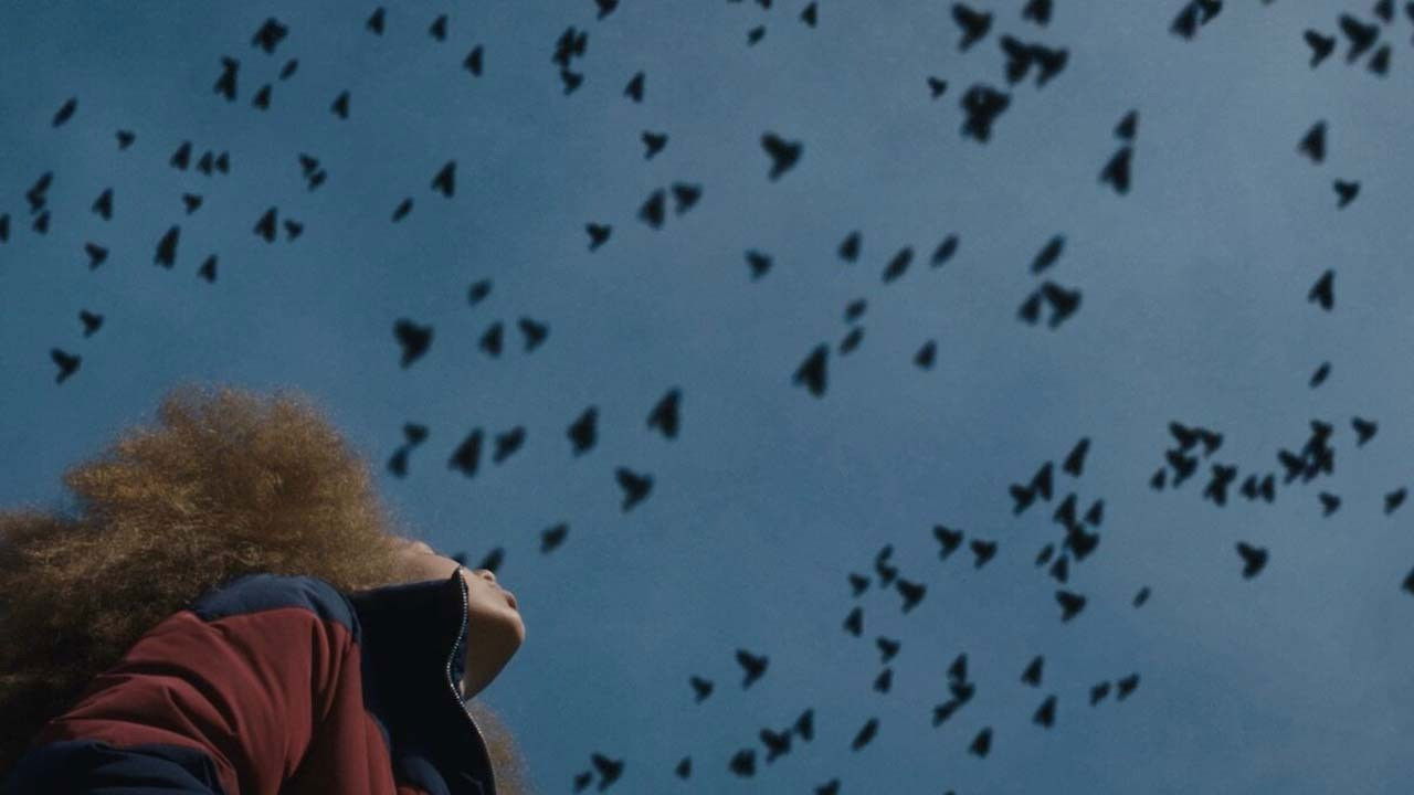 Last Minute Background