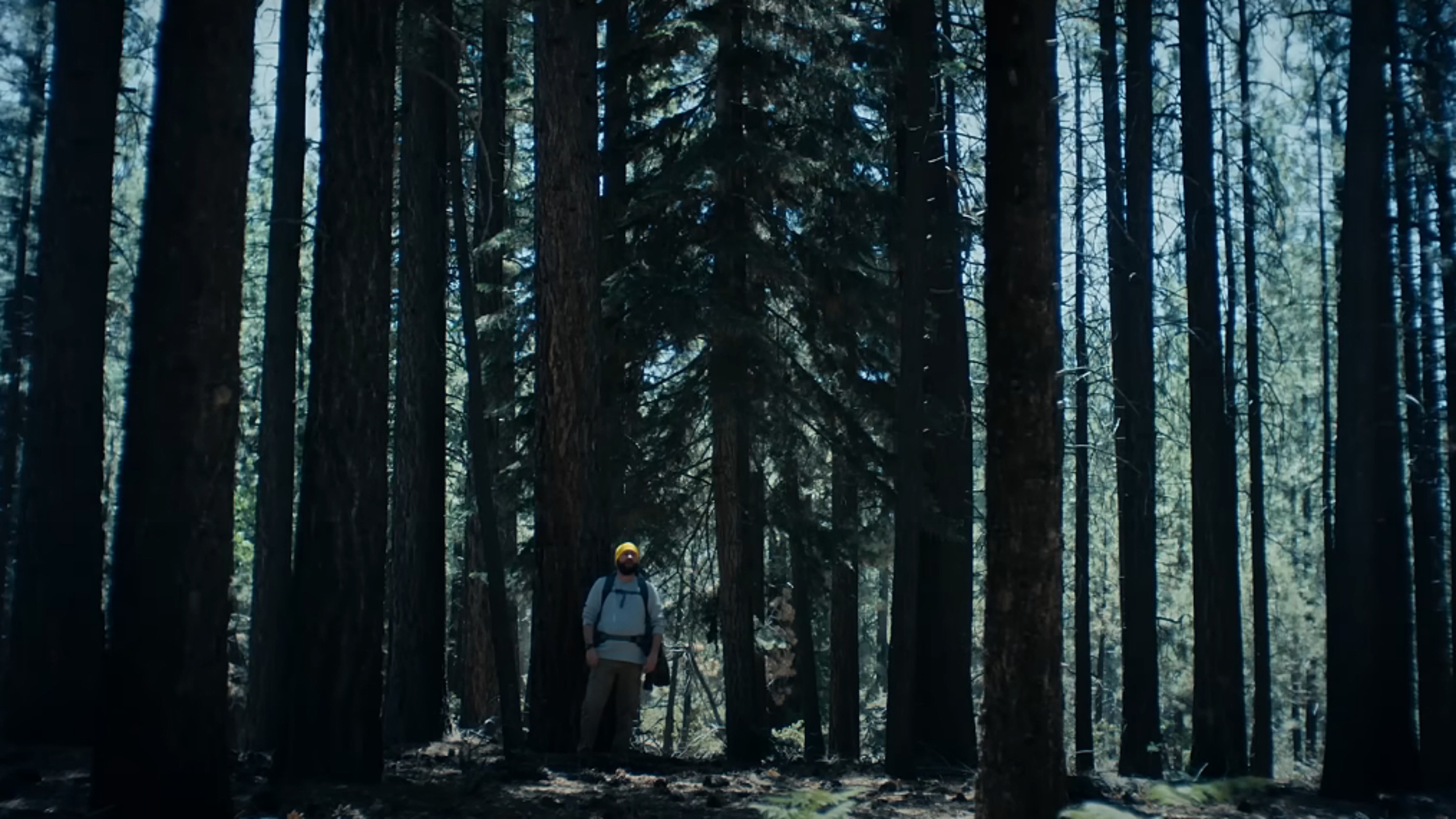 The Hidebehind Background