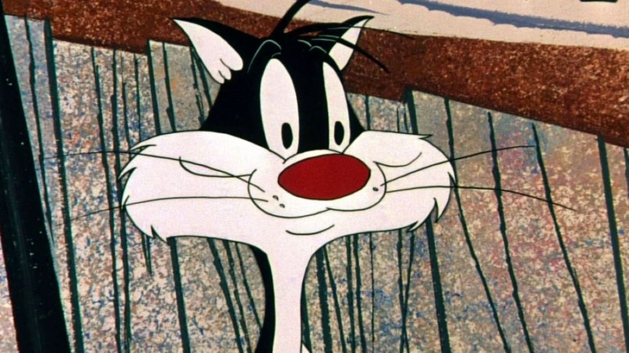 Birds Anonymous Background