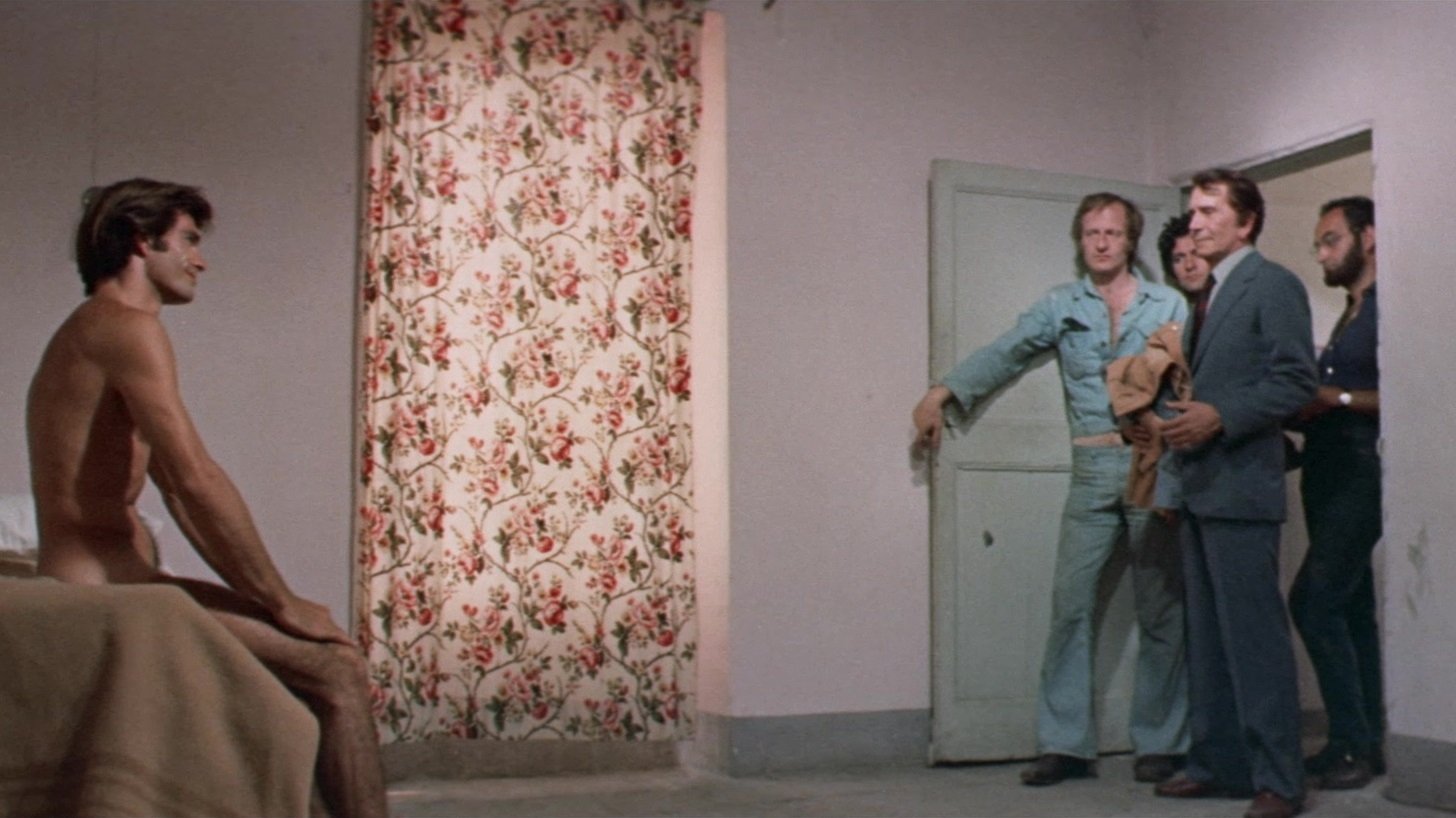 The Violent Professionals Background