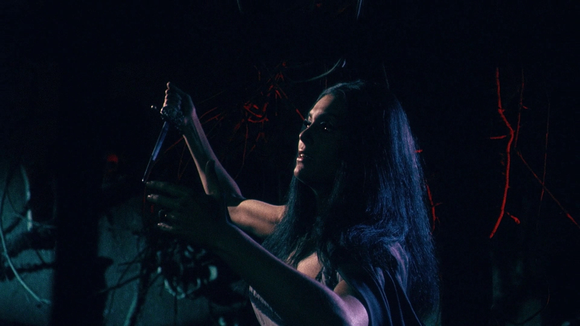 The Whip and the Body Background