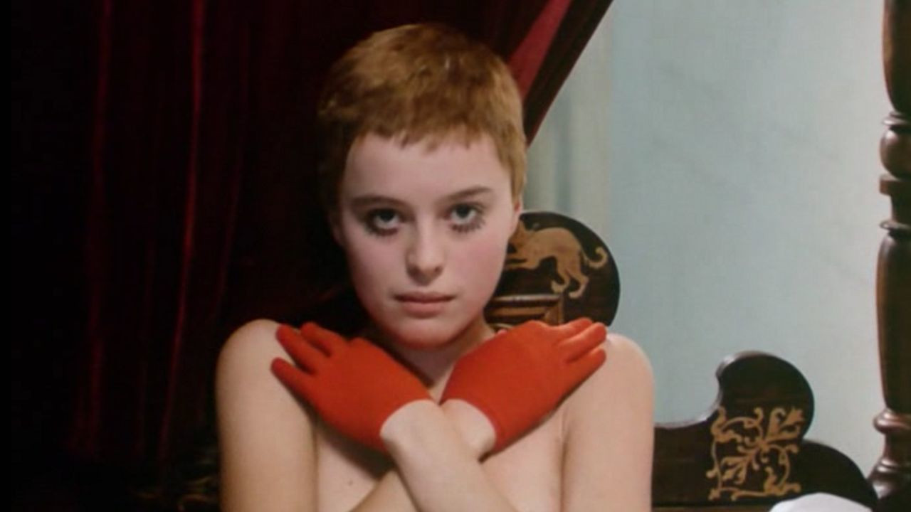 Birds, Orphans and Fools Background