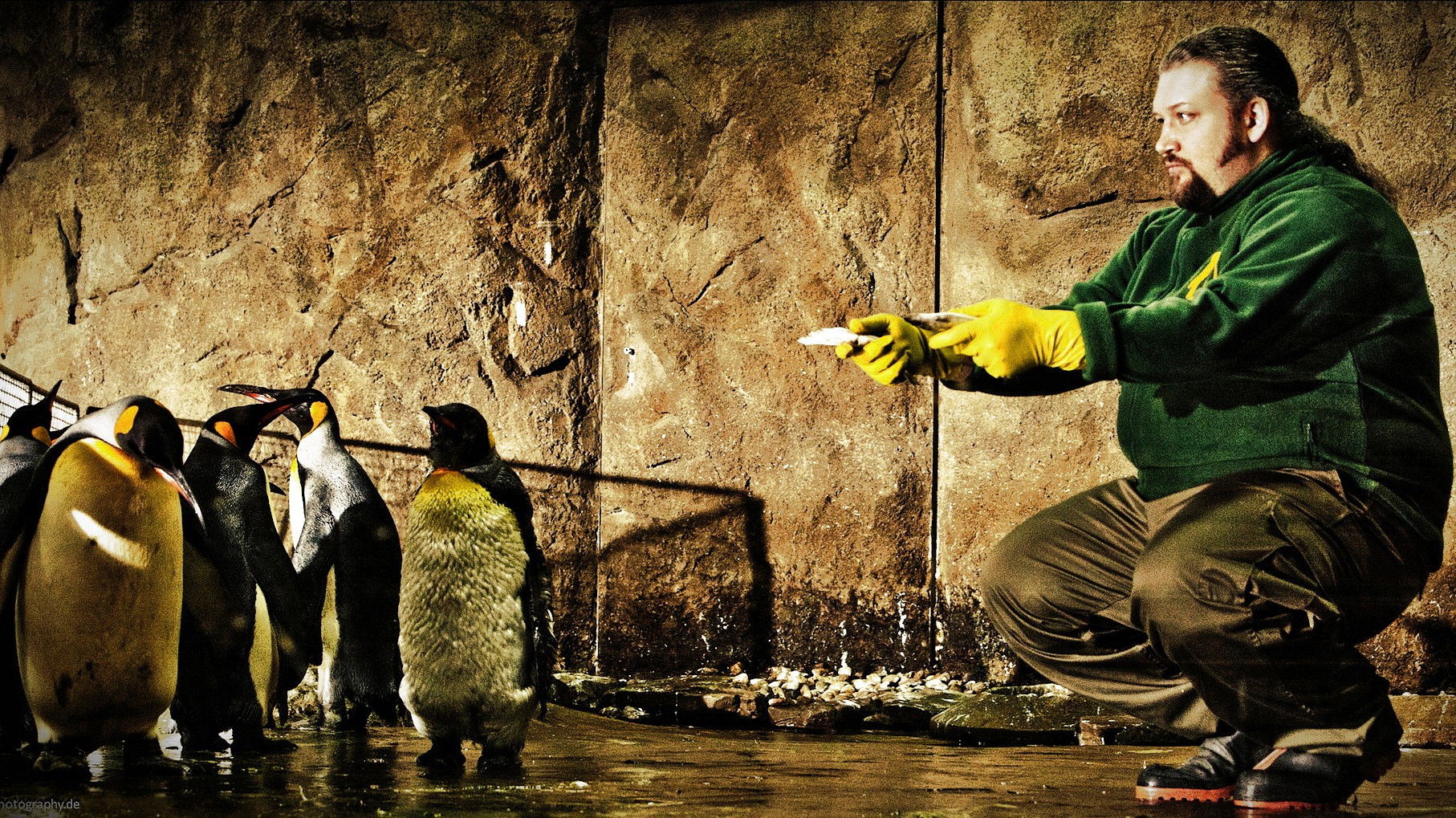 King Ping - Tippen Tappen Tödchen Background