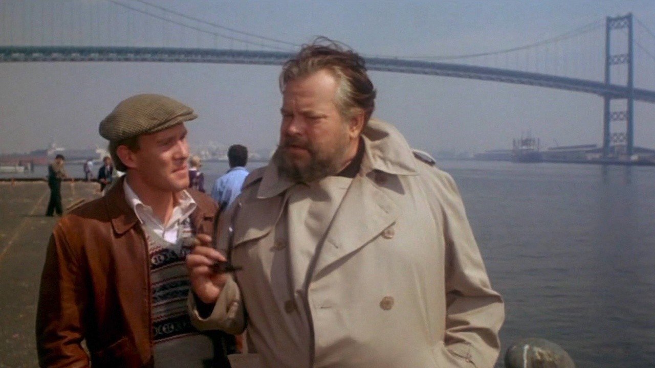 Get to Know Your Rabbit Background