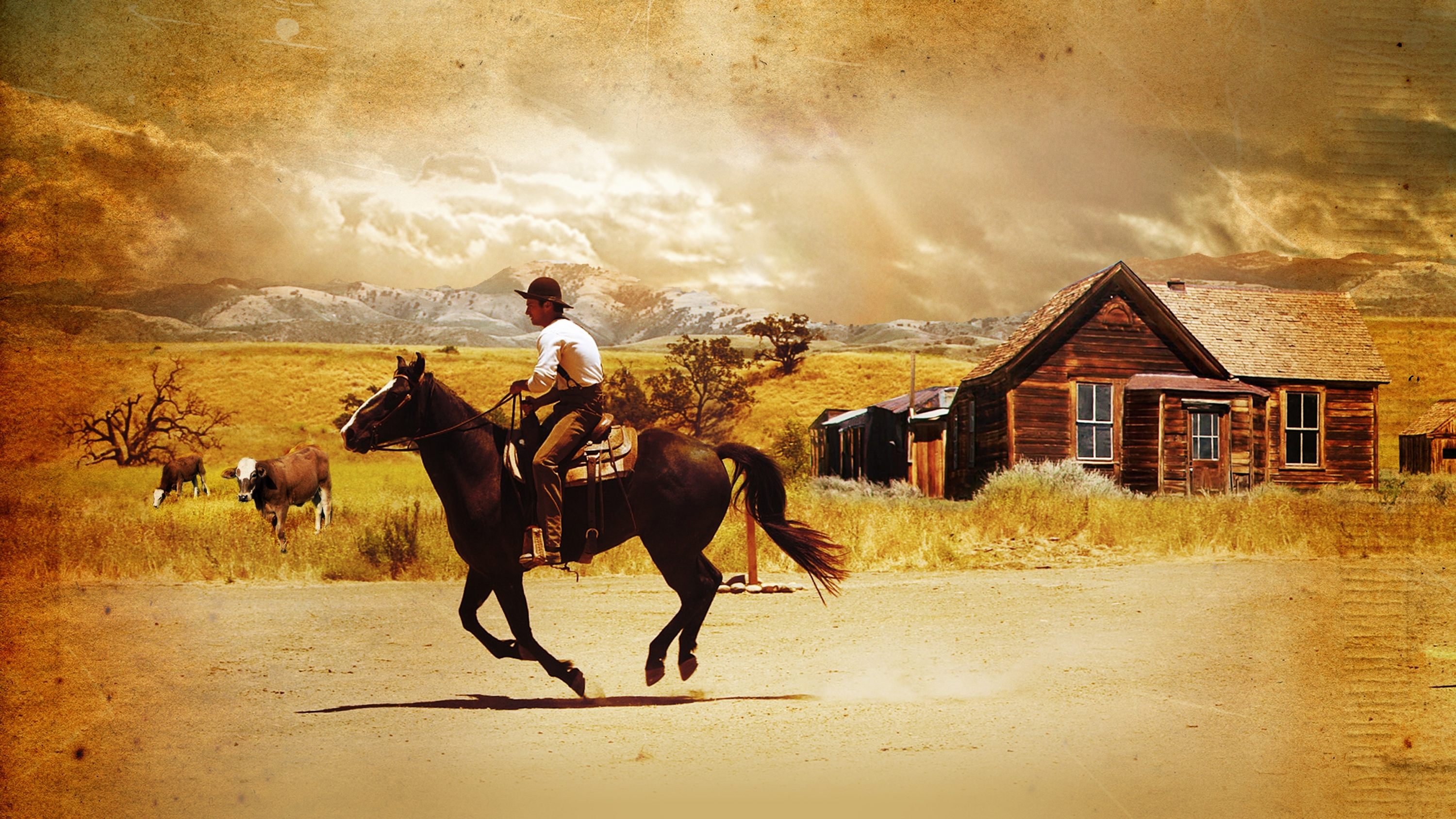 Love's Enduring Promise Background