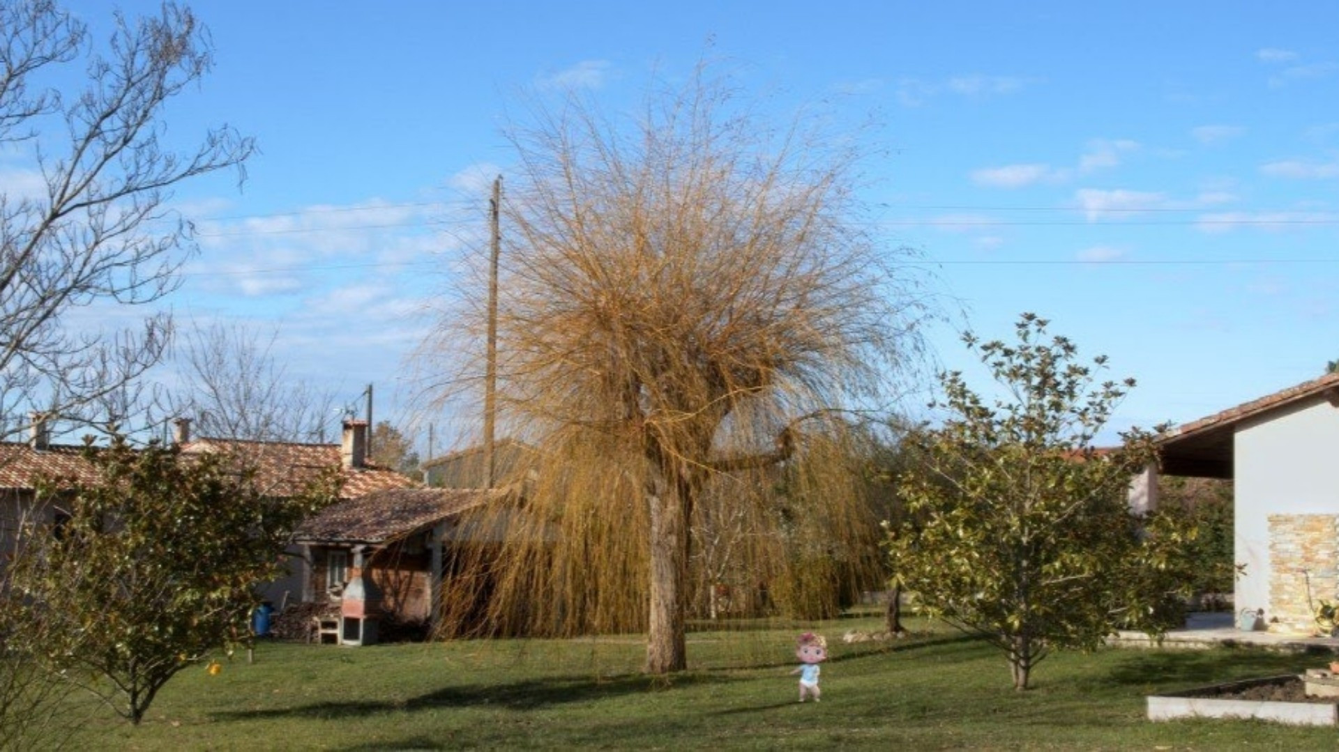 Baby Anger Background