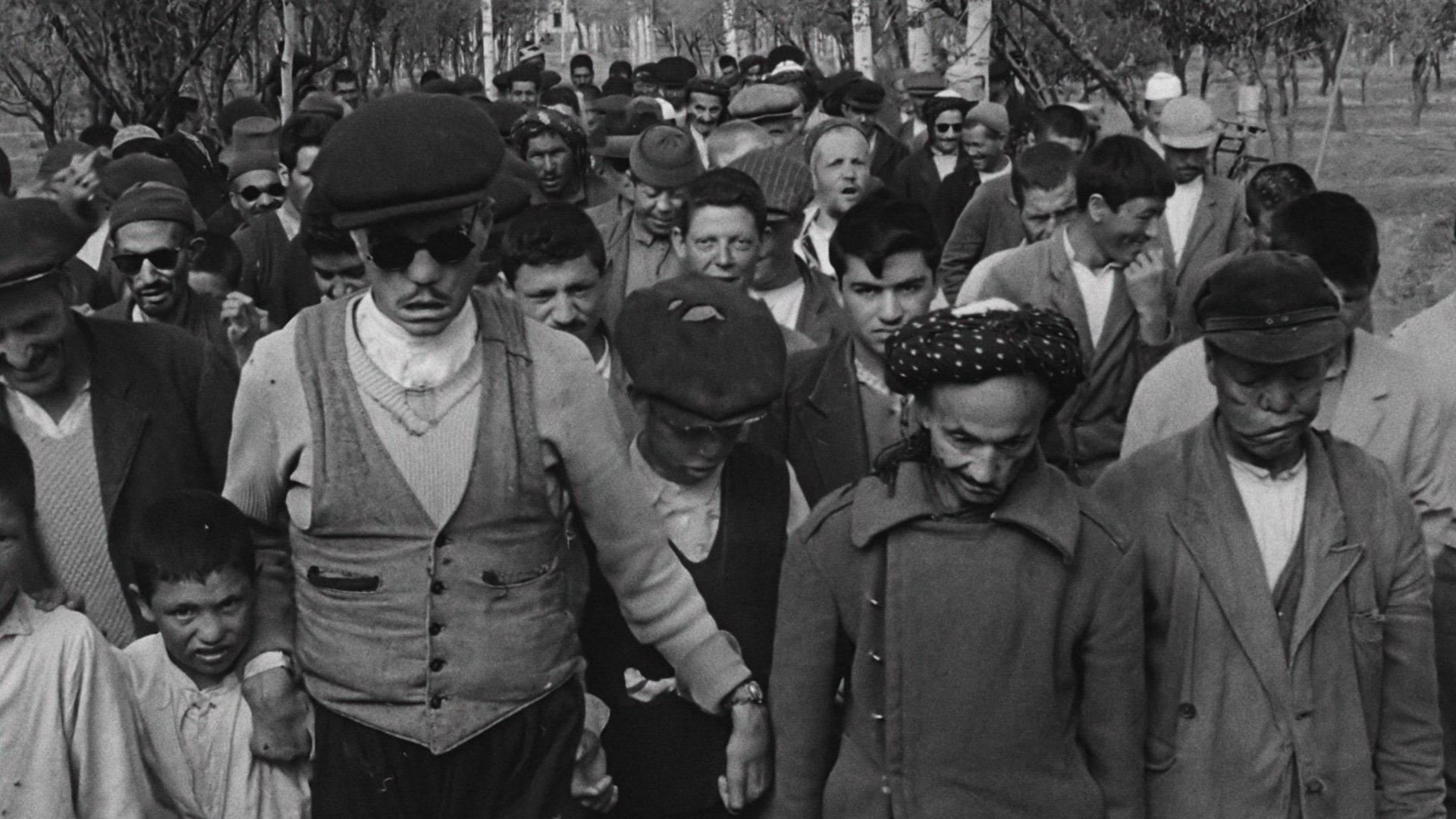 The House Is Black Background