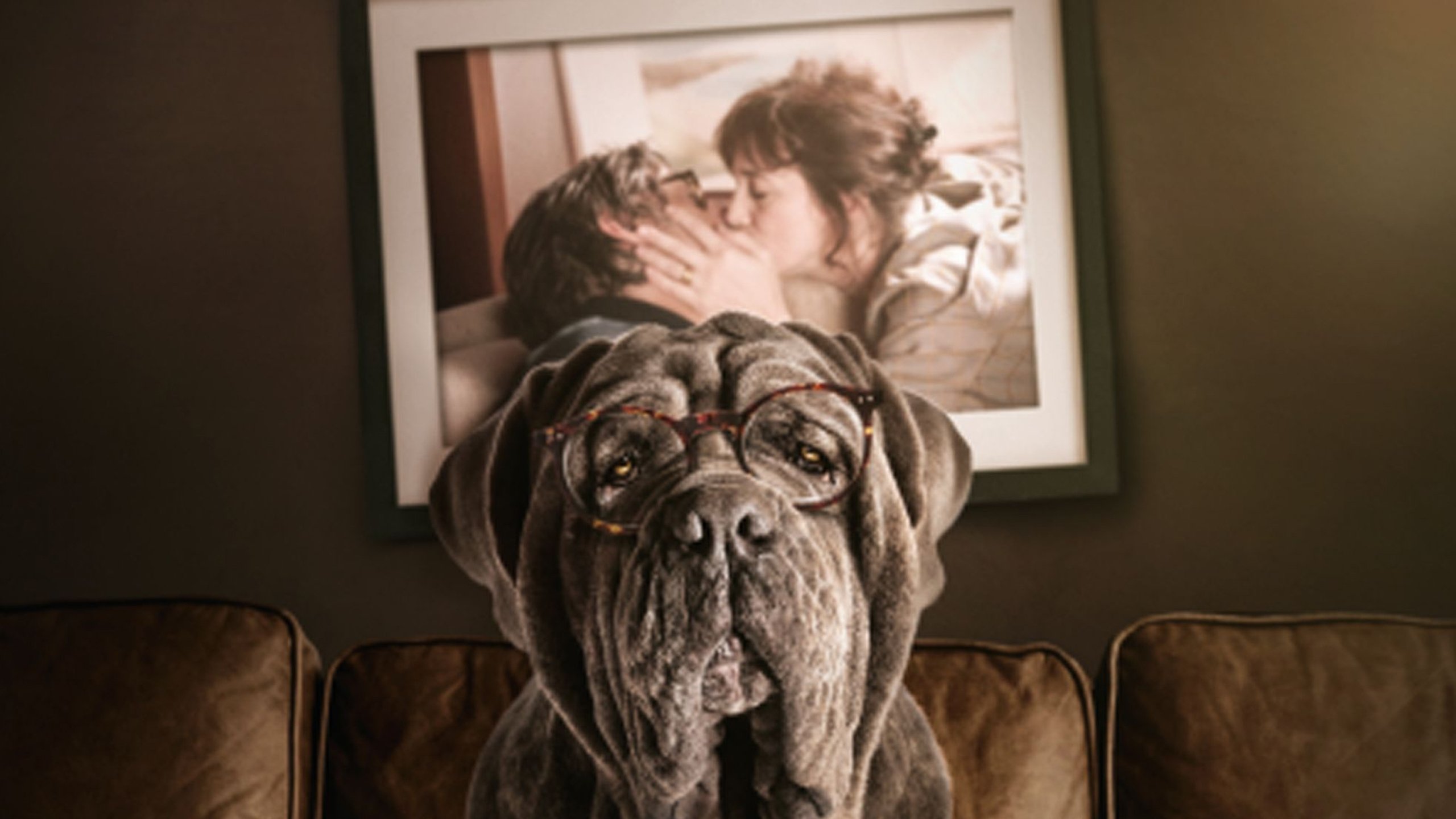 My Dog Stupid Background