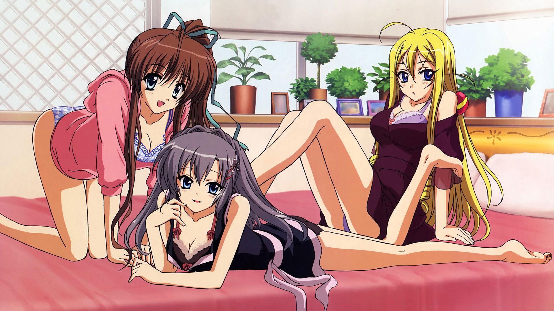 The Hill Dyed Rose Madder Background