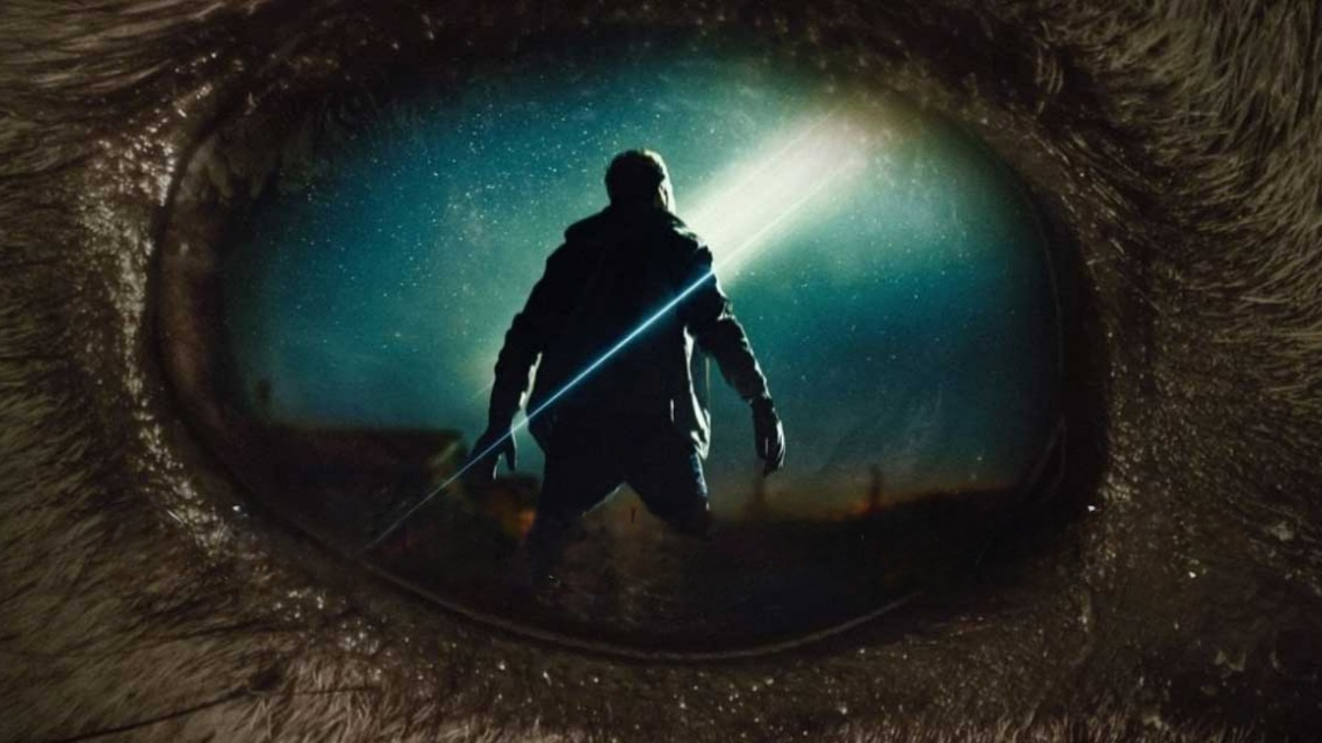 Descendent Background