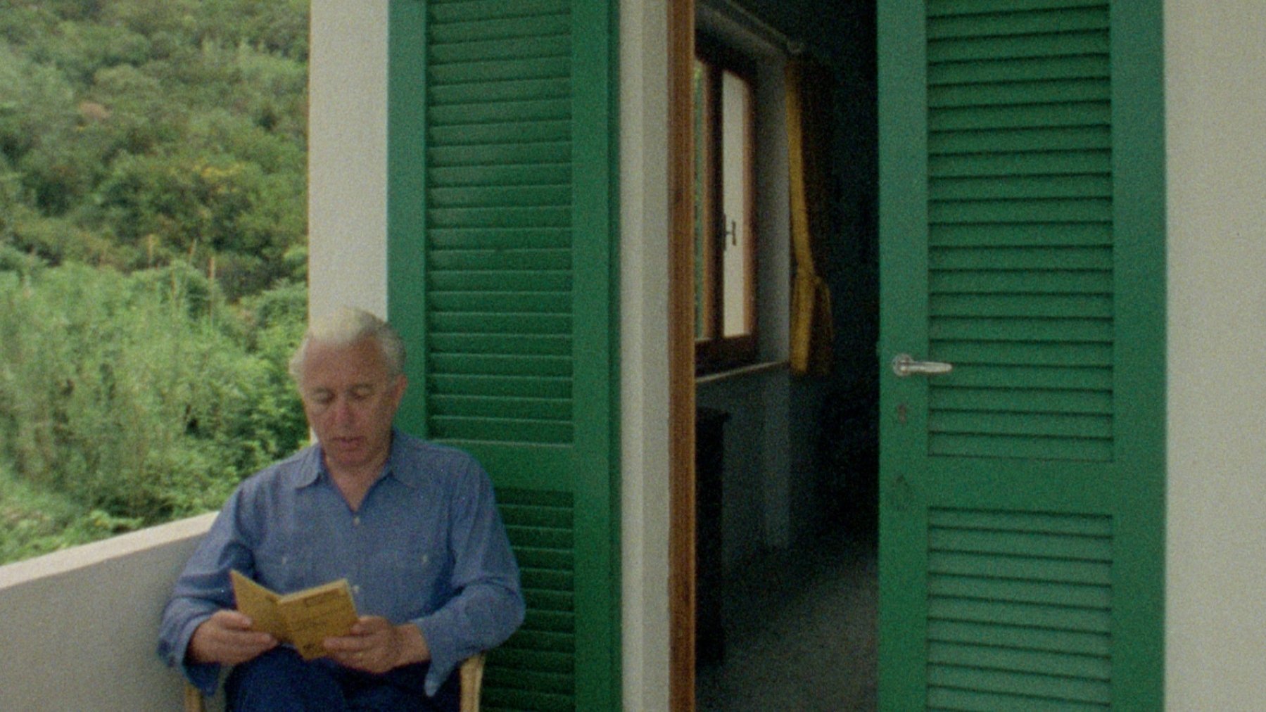 Fortini/Cani Background