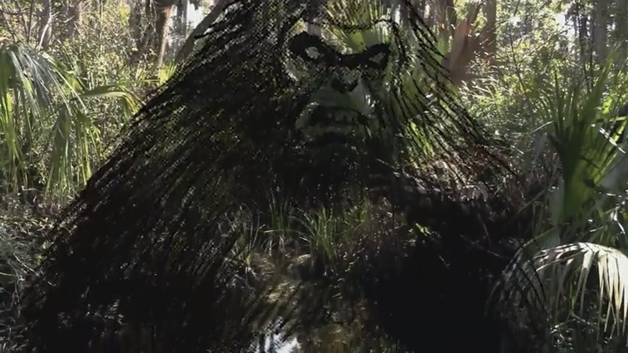 The Skunk Ape Lives Background