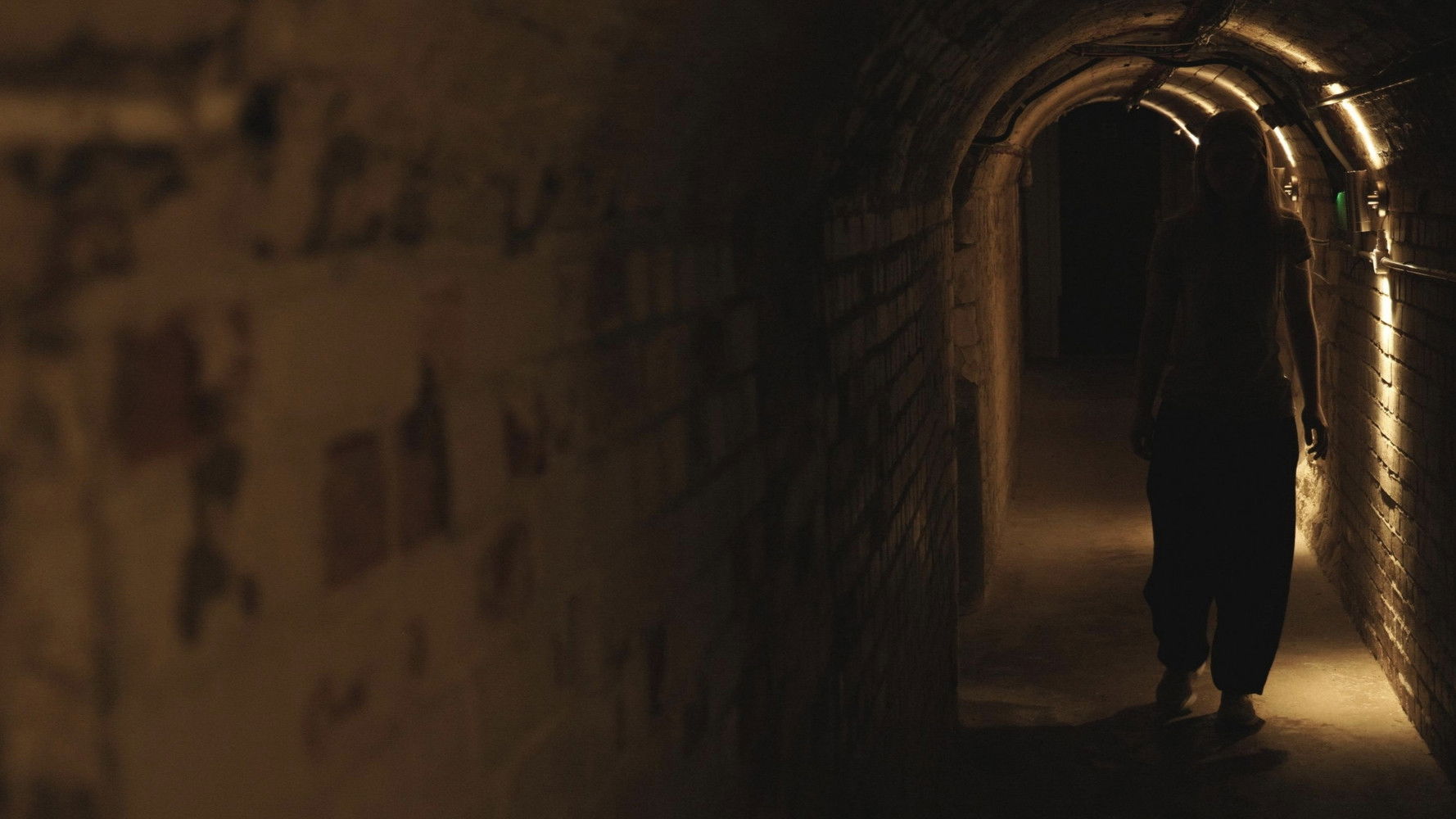 The Cellar Background