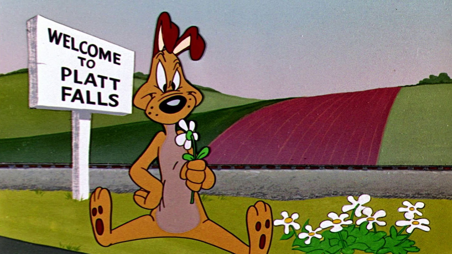 Dog Gone South Background